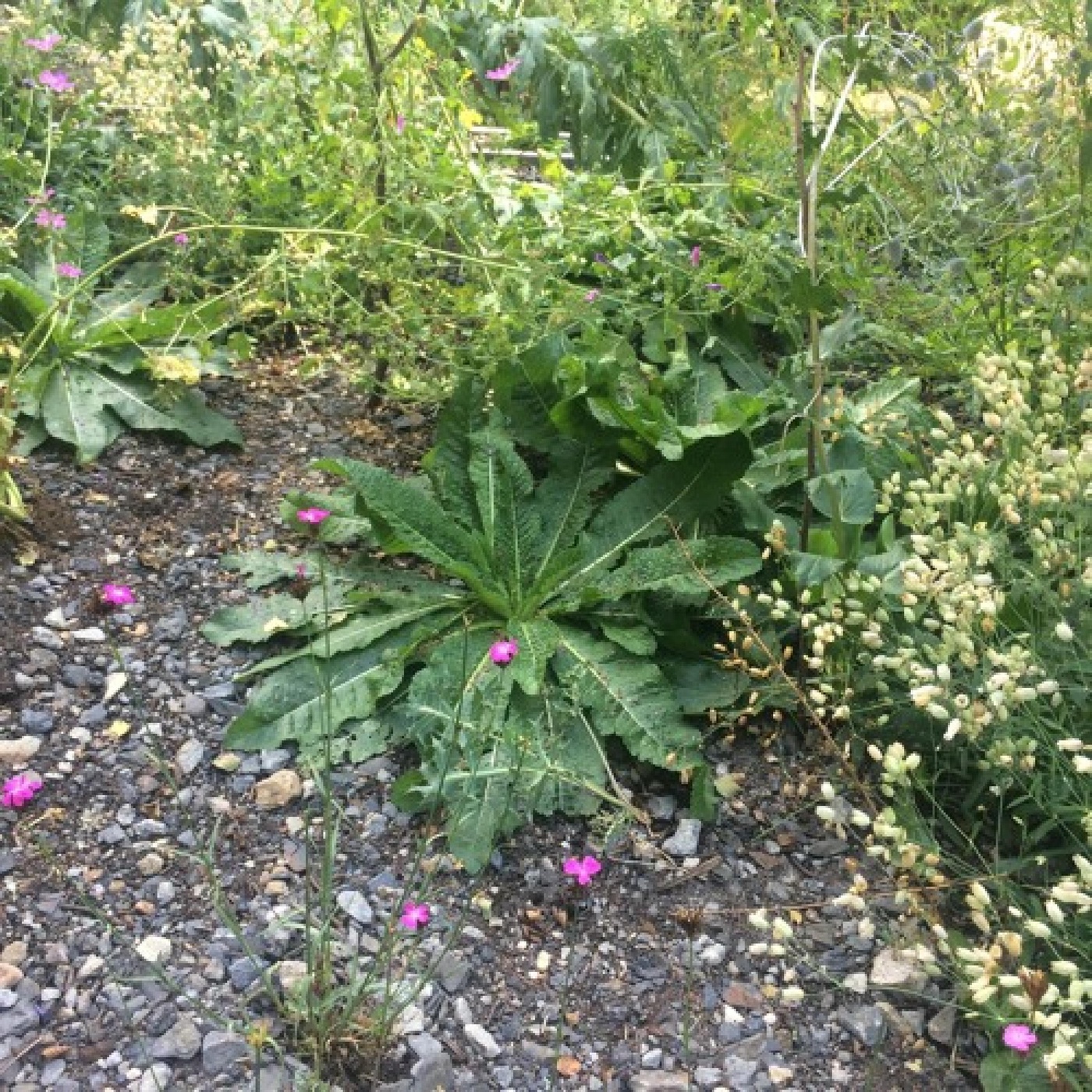 Naturnah Bauen – Biologische Stationen in neuer Verantwortung (4/4)