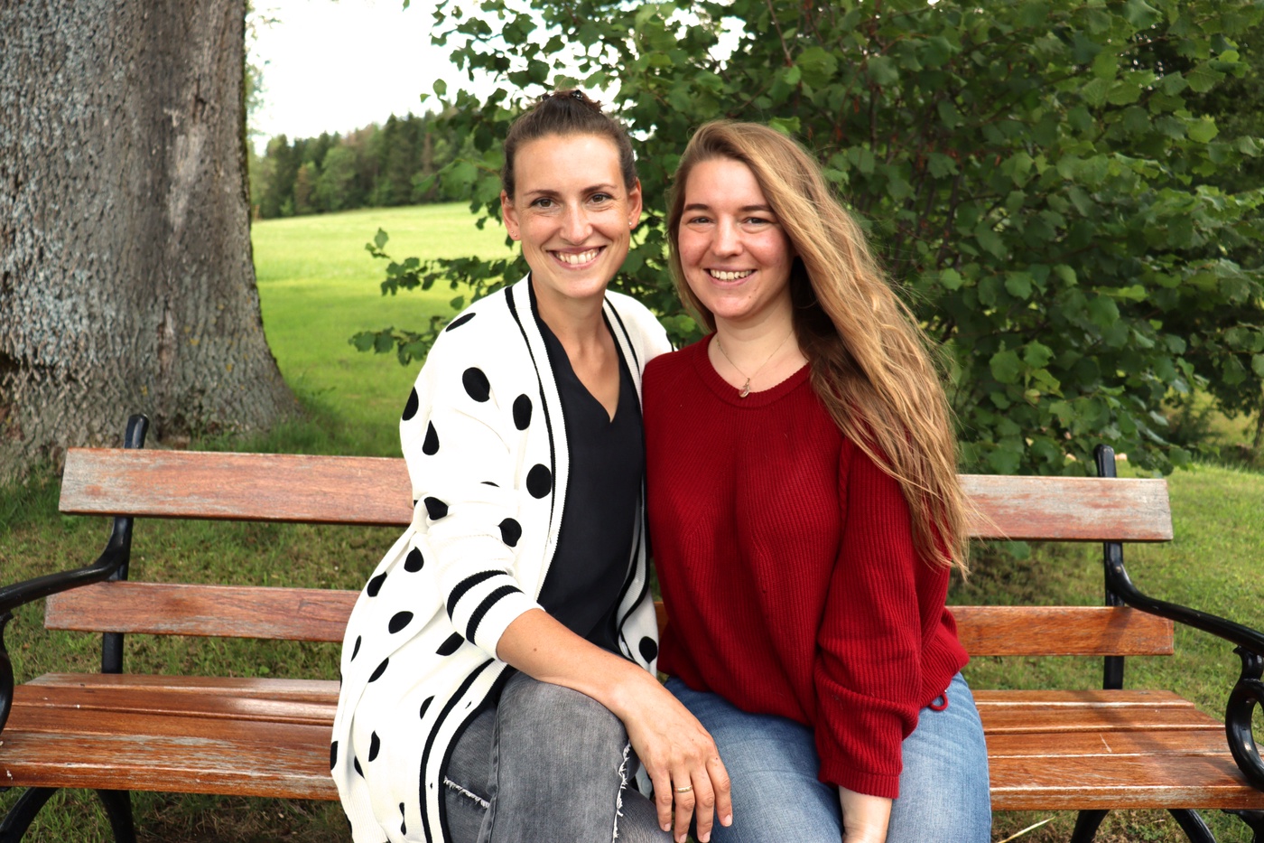 So machst du perfekte Pferdefotos