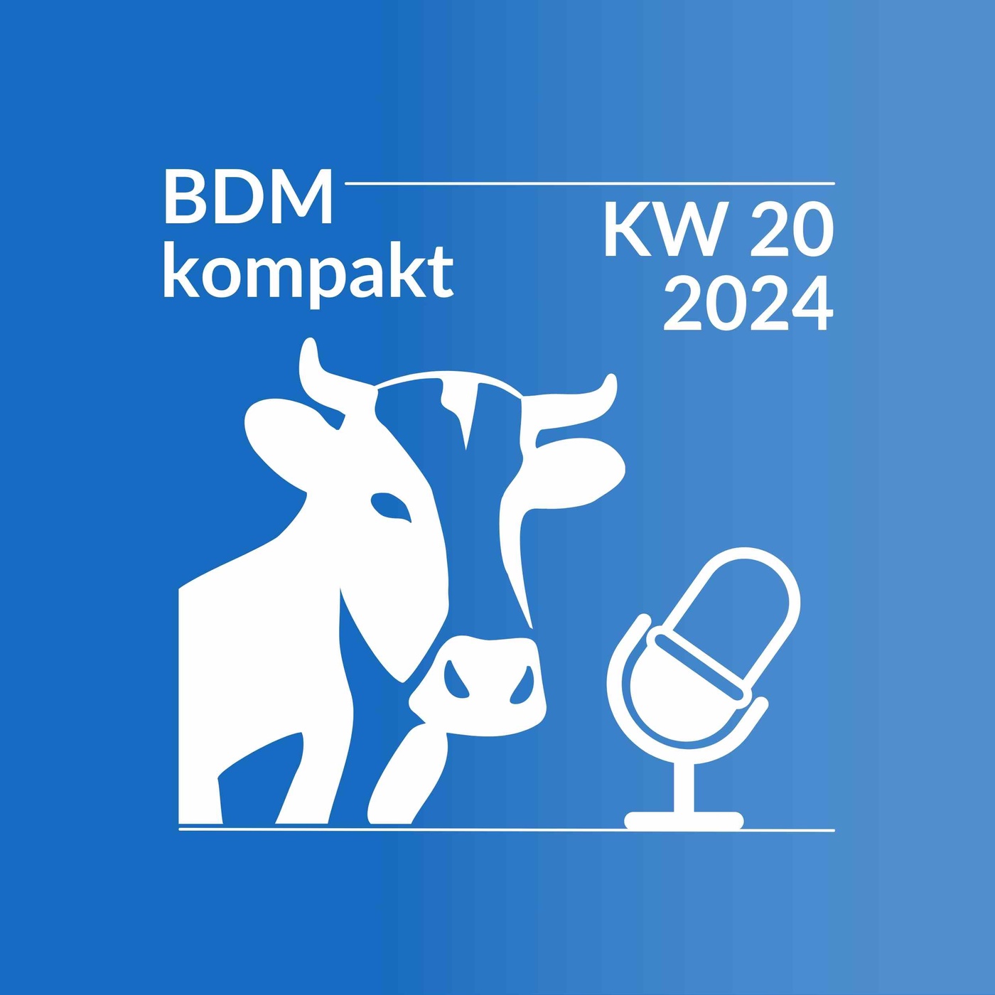 BDM kompakt KW 20/2024