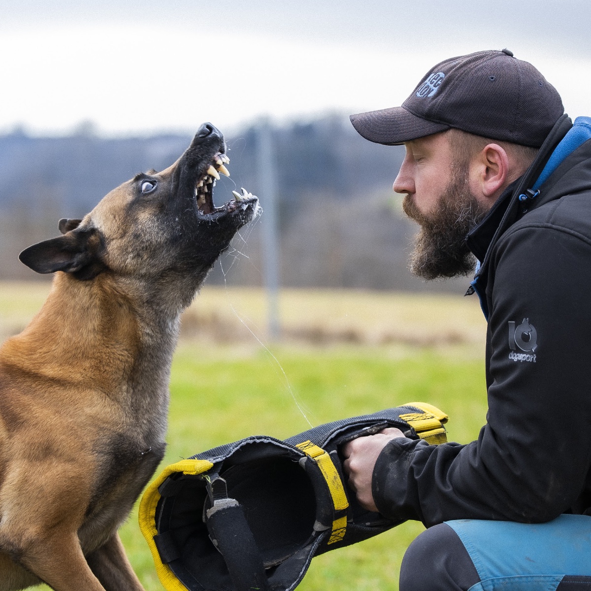 Schutzdienst im Hundesport