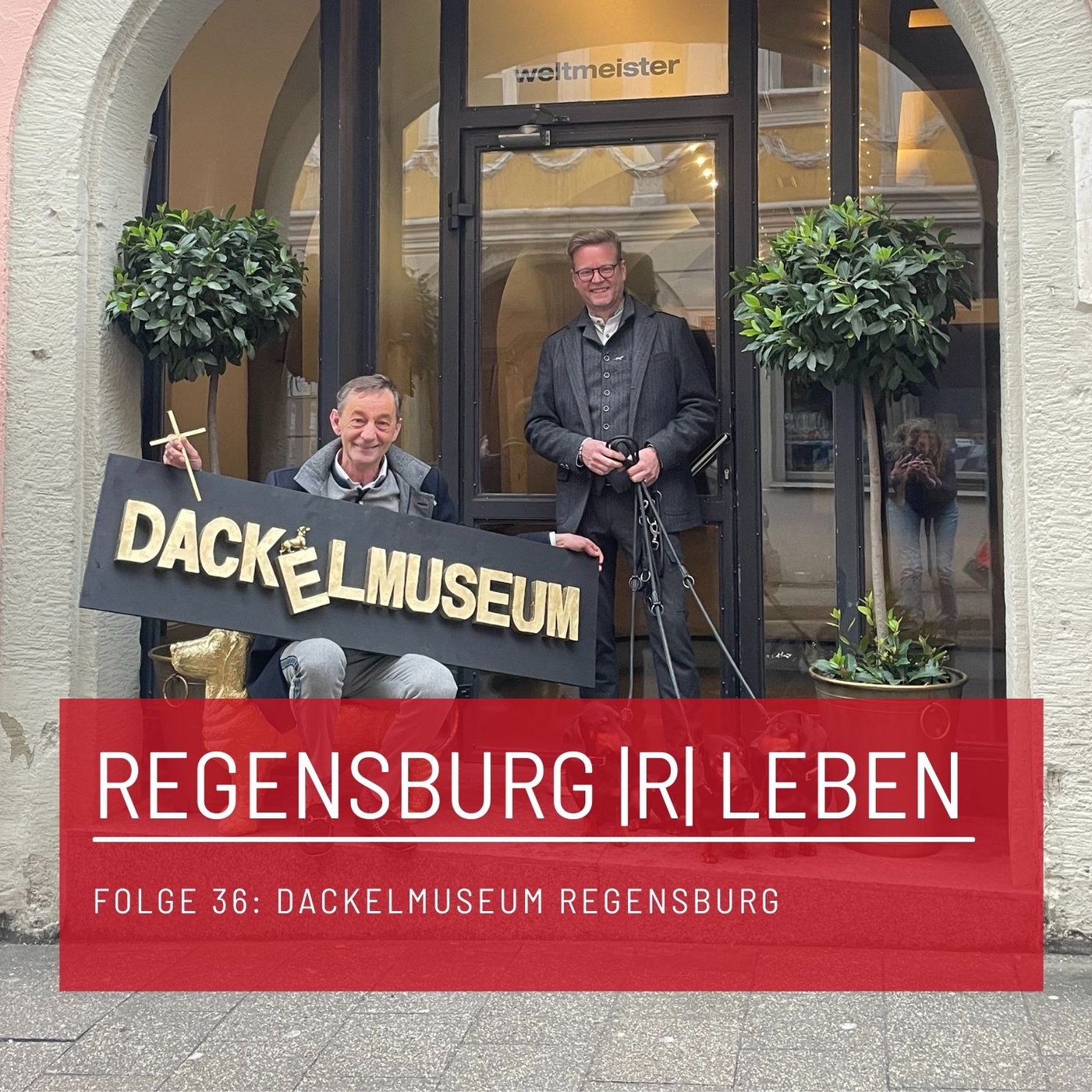 REGENSBURG |R| LEBEN - Folge 36 - Dackelmuseum Regensburg