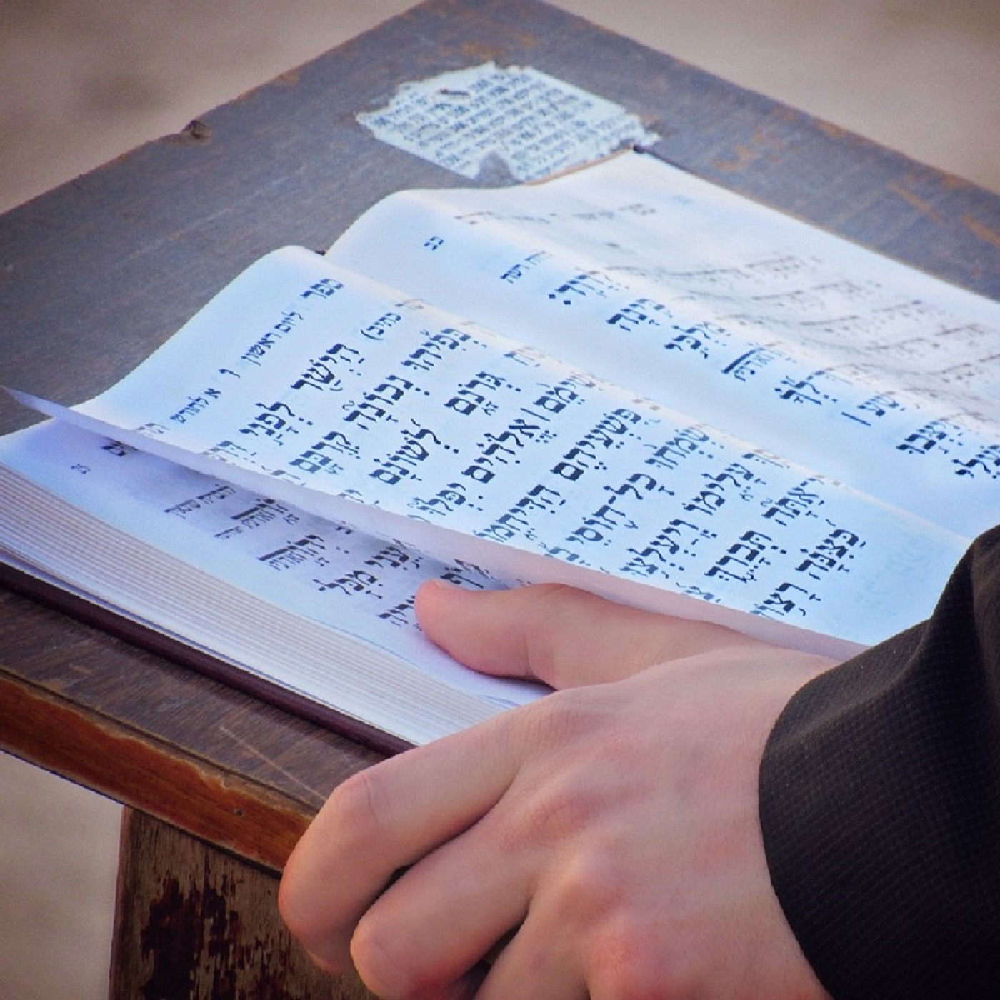 Lobt und preist die herrlichen Taten des Herrn (EG 429)