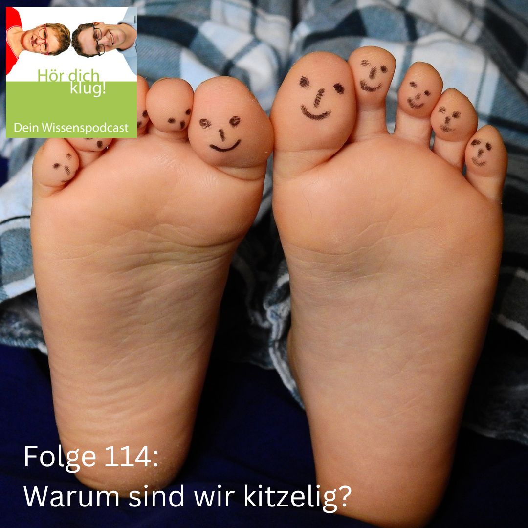 Warum sind wir kitzelig?