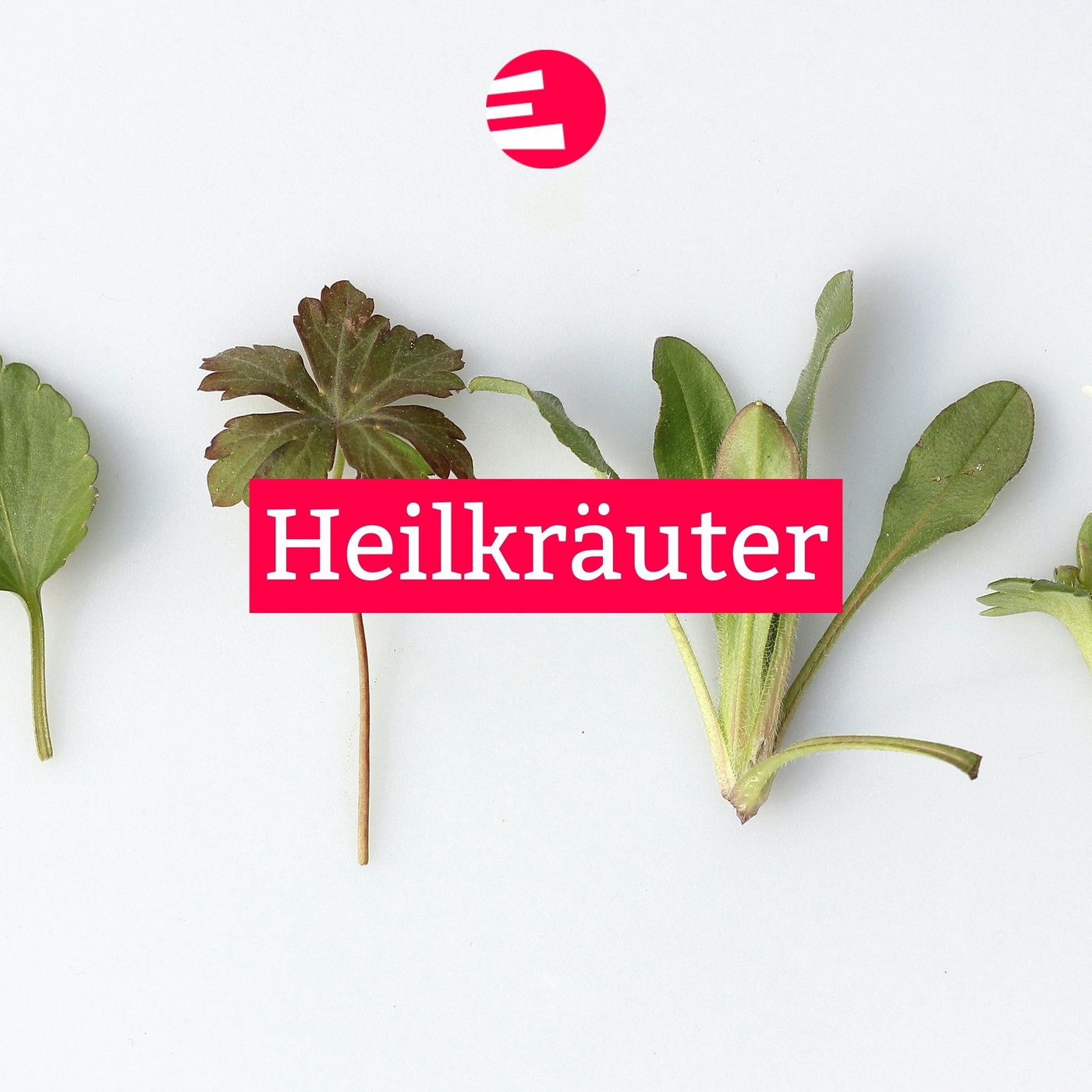 Heilkräuter