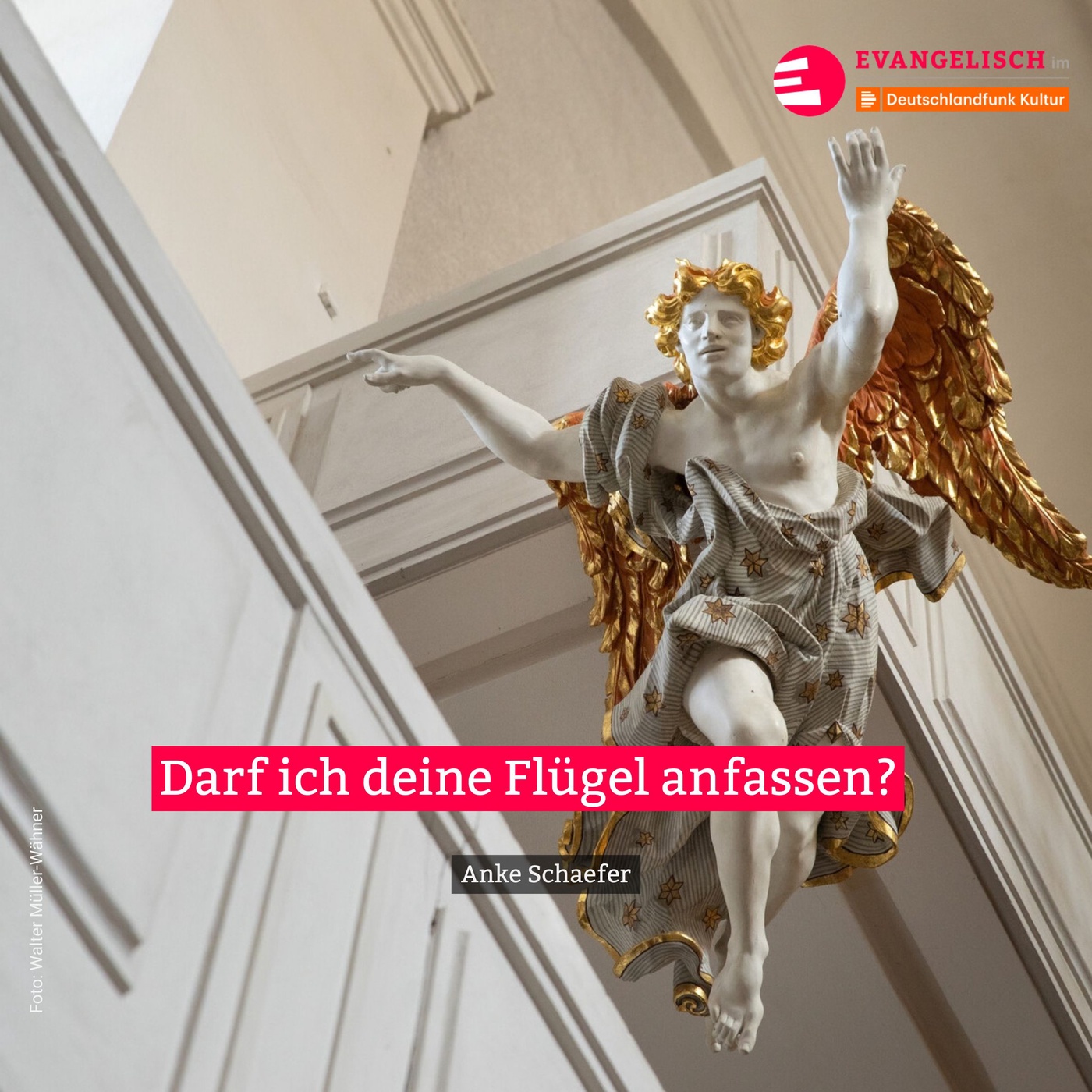 Darf ich mal deine Flügel anfassen? 