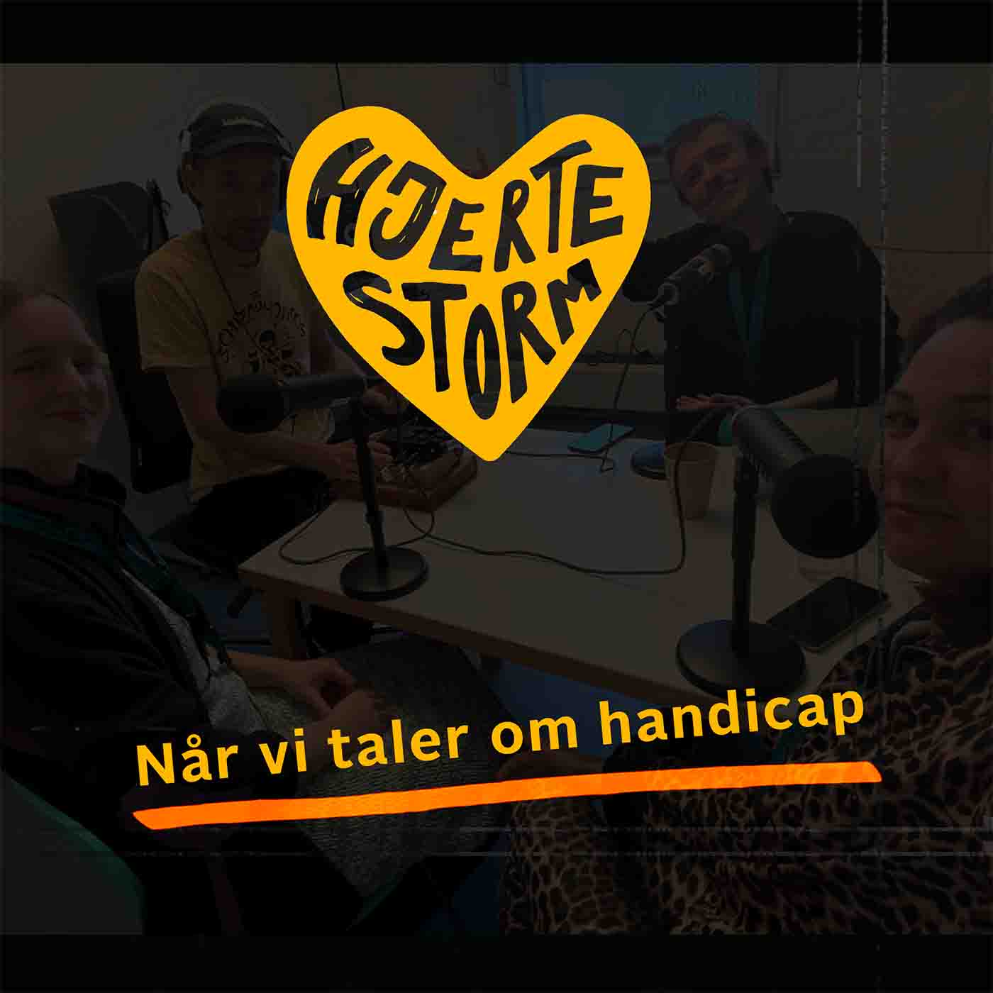 Når vi taler om handicap