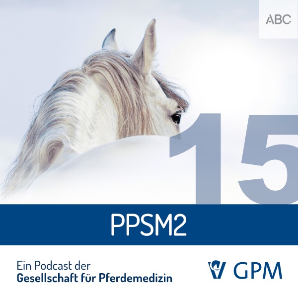 PSSM 2