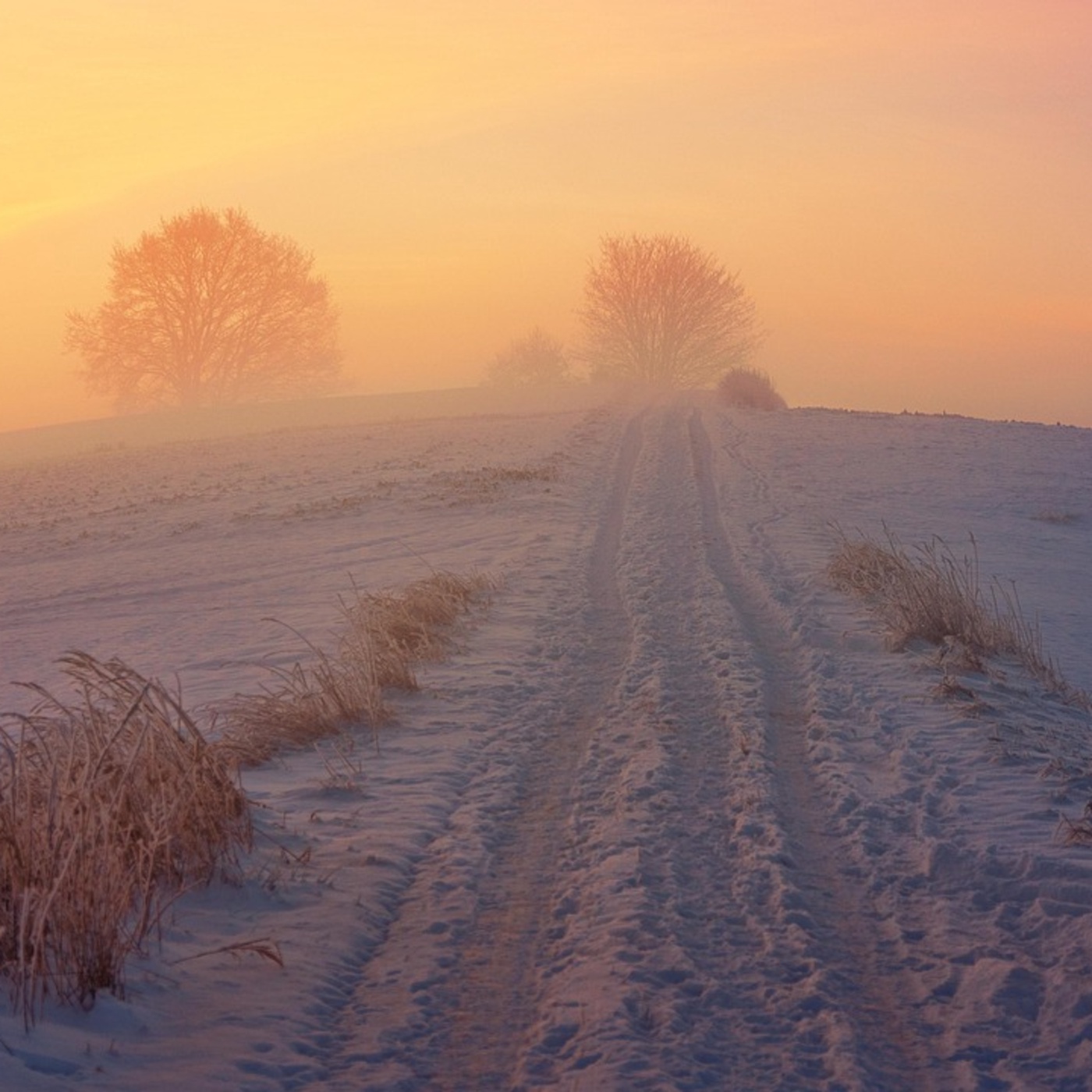 Adventkalender #8 Sr. Franziska Madl