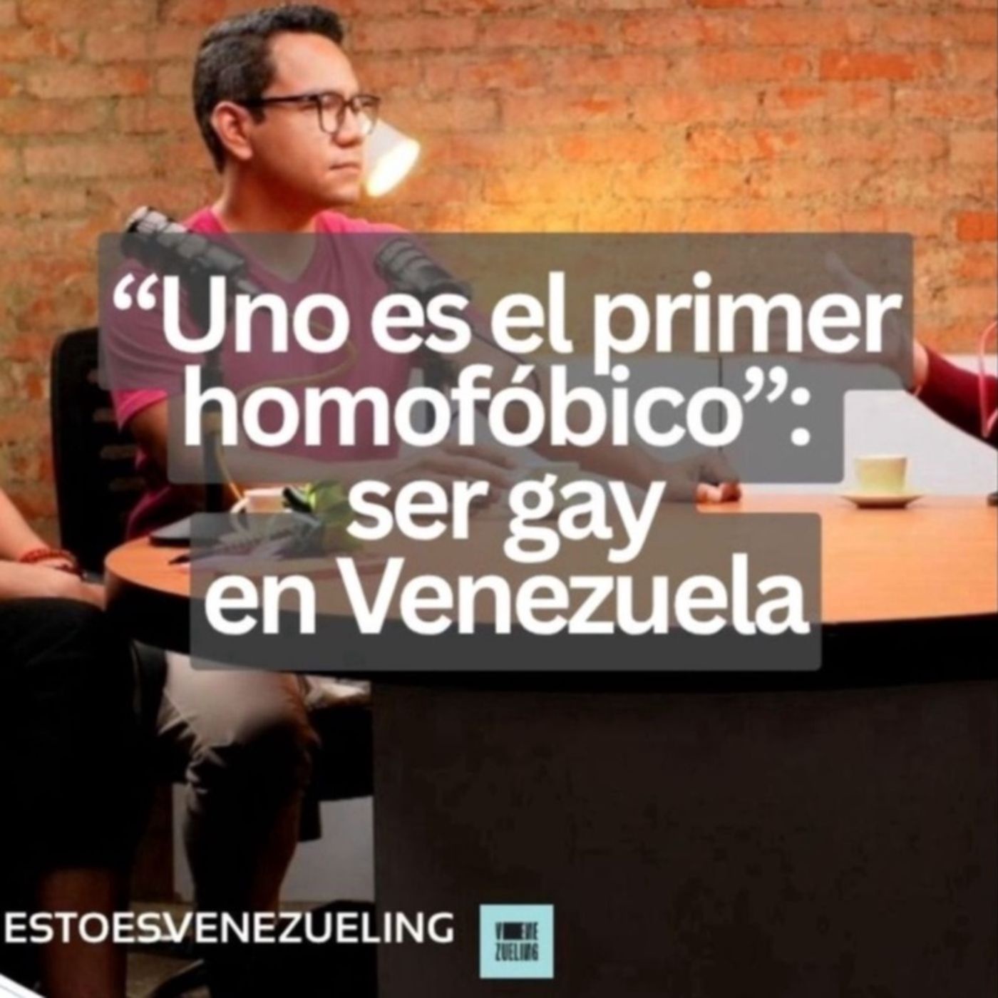  “Uno es el primer homofóbico”: relatos de ser gay en Venezuela