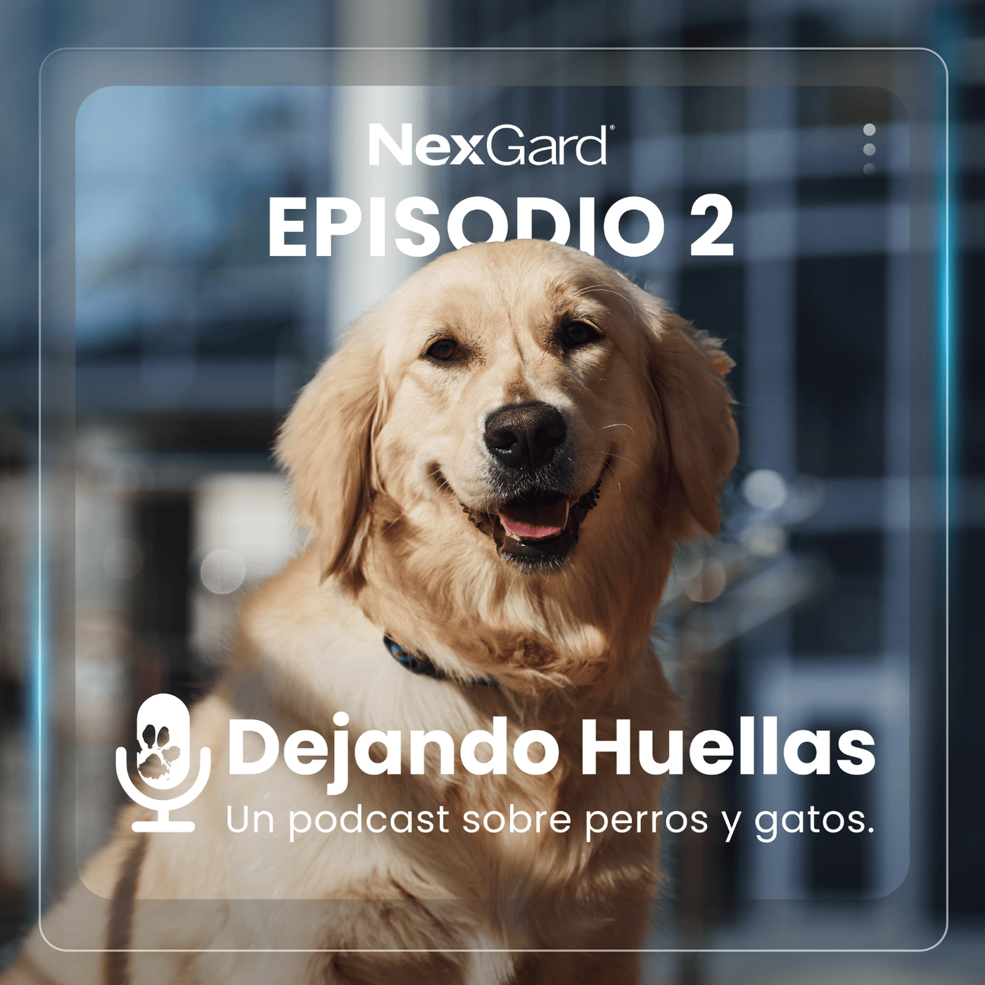 Vínculos que Sanan: Perros de Asistencia y Niños con TEA