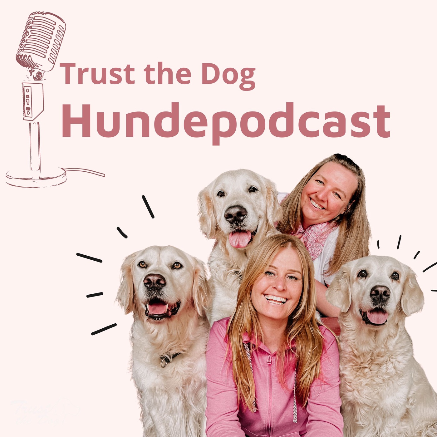 #37 Wenn man sich einen Hund anschaffen möchte