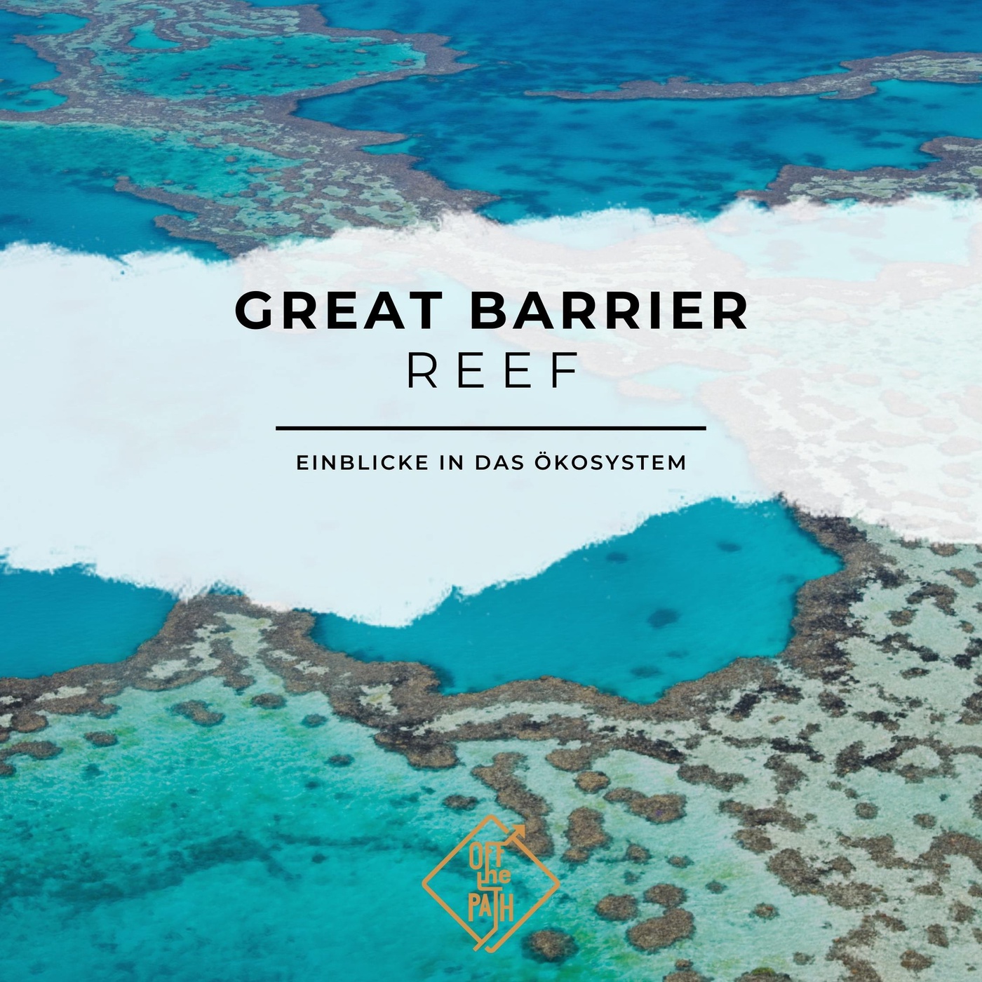 Farben des Ozeans: Einblicke in das Ökosystem des Great Barrier Reefs