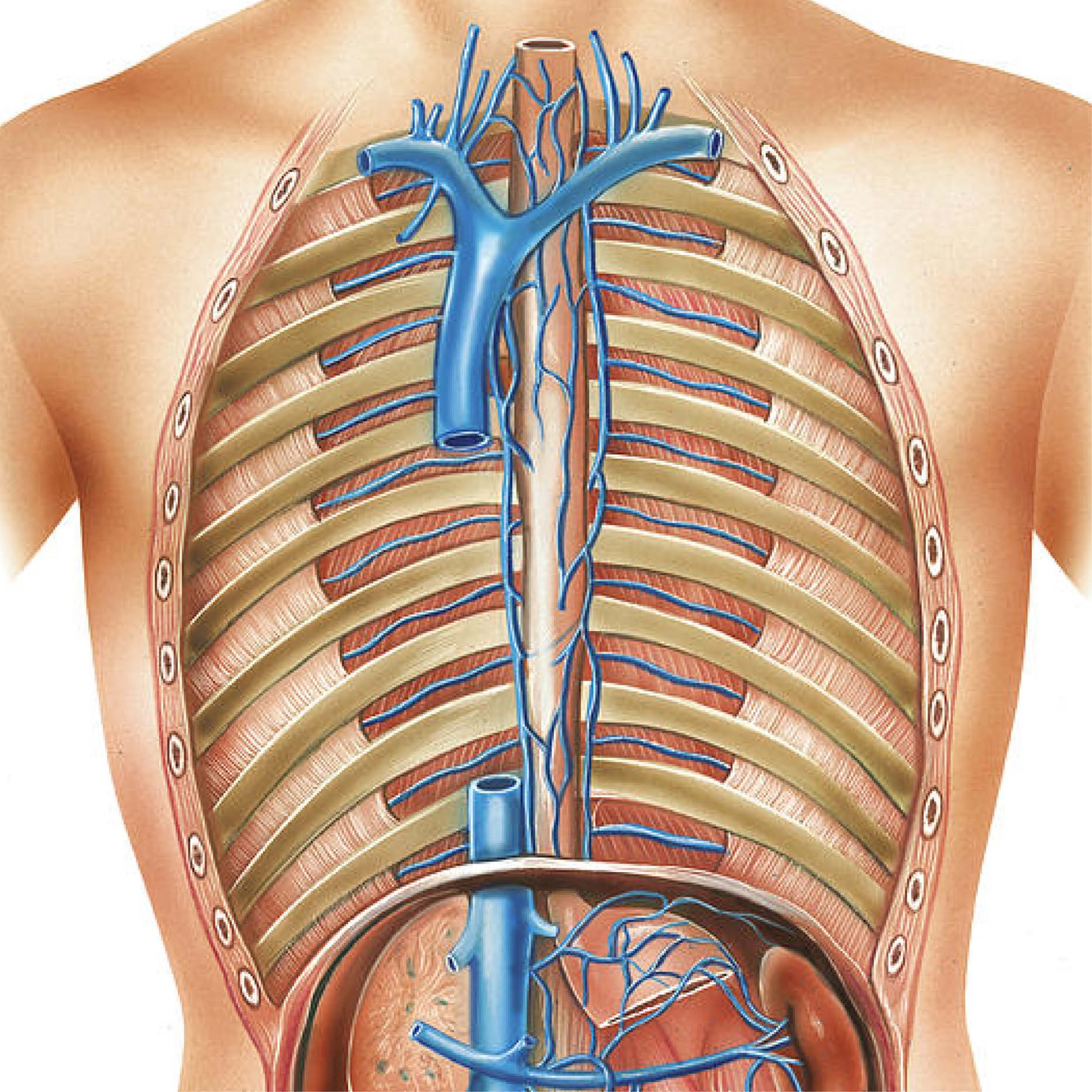 86_Das Blut Teil III.