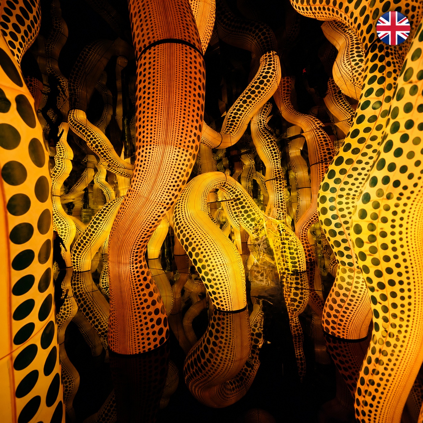 Yayoi Kusama - Into Infinity | #26