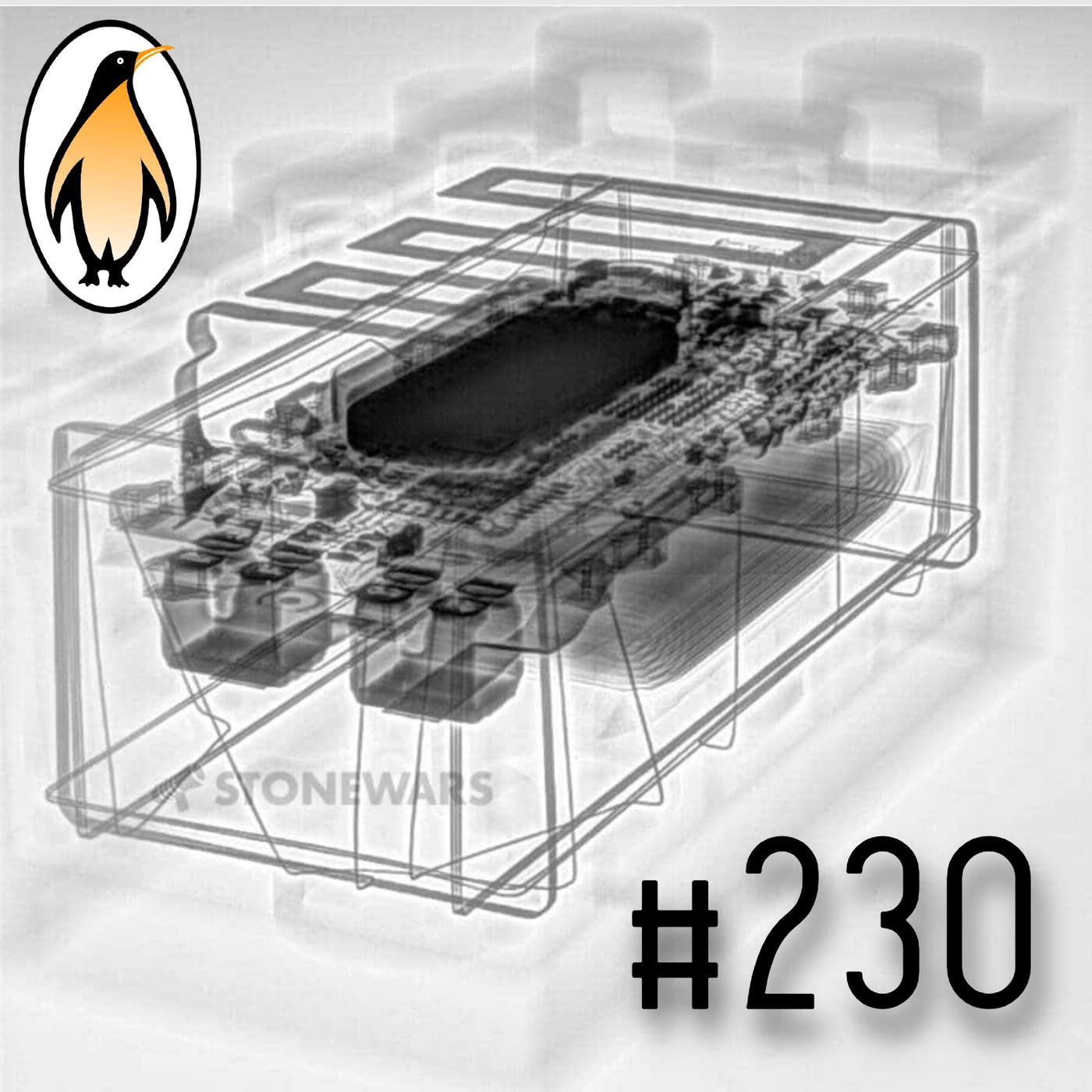 230. Die Qual der Wa(h)l