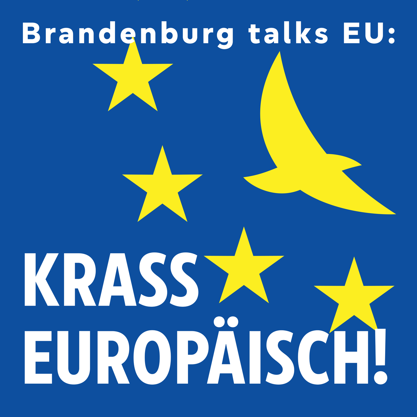 Brandenburg talks EU: Krass europäisch