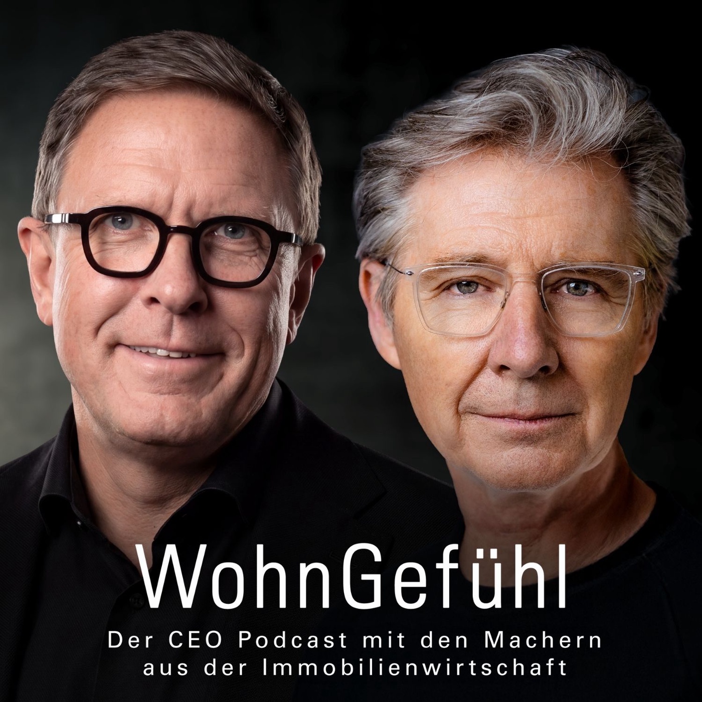 Was passiert, wenn Berlin beginnt, Wohnungen zu enteignen, Herr Tolckmitt?
