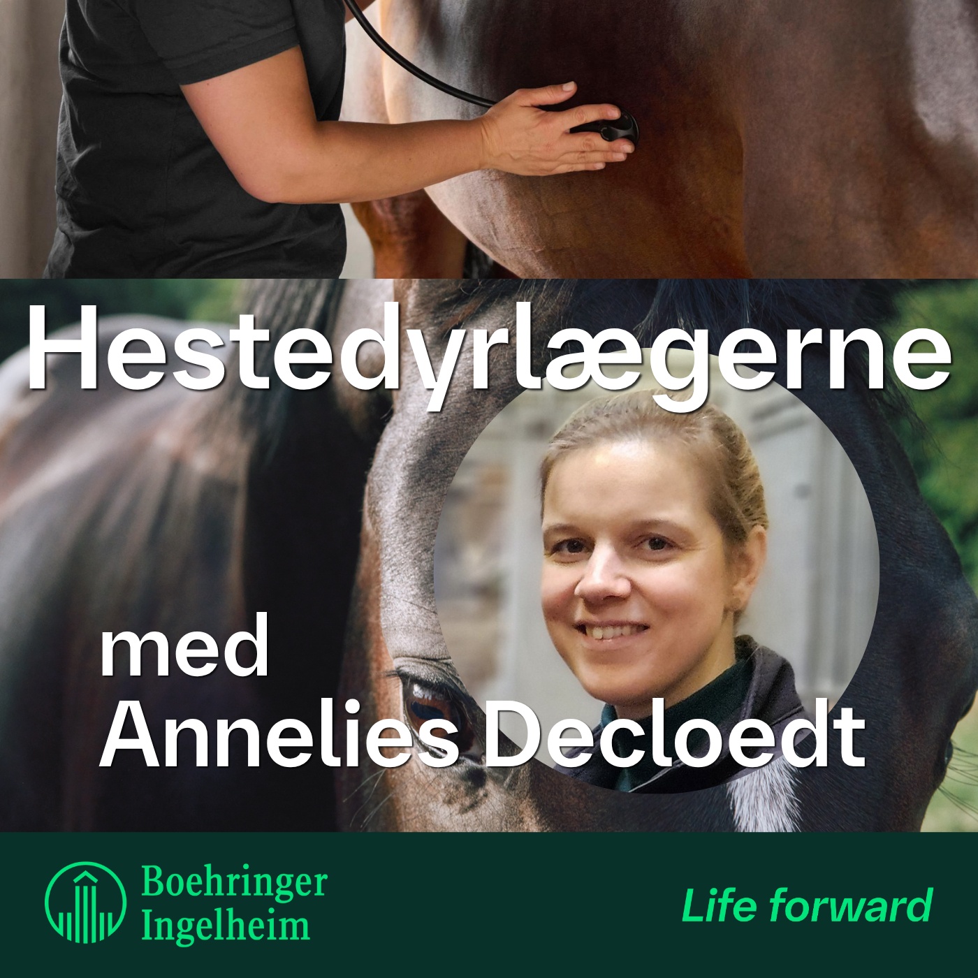 Hesteejerkommunikation med Annelies Decloedt , afsnit 1 – teorier, værktøjer og virkelige eksempler