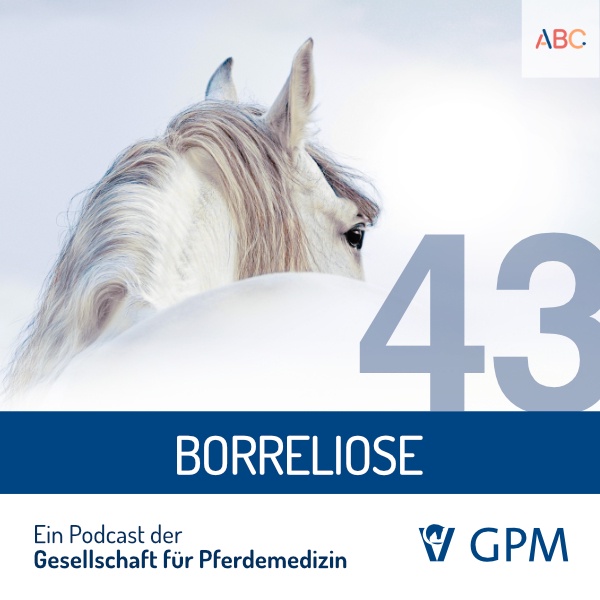 Borreliose