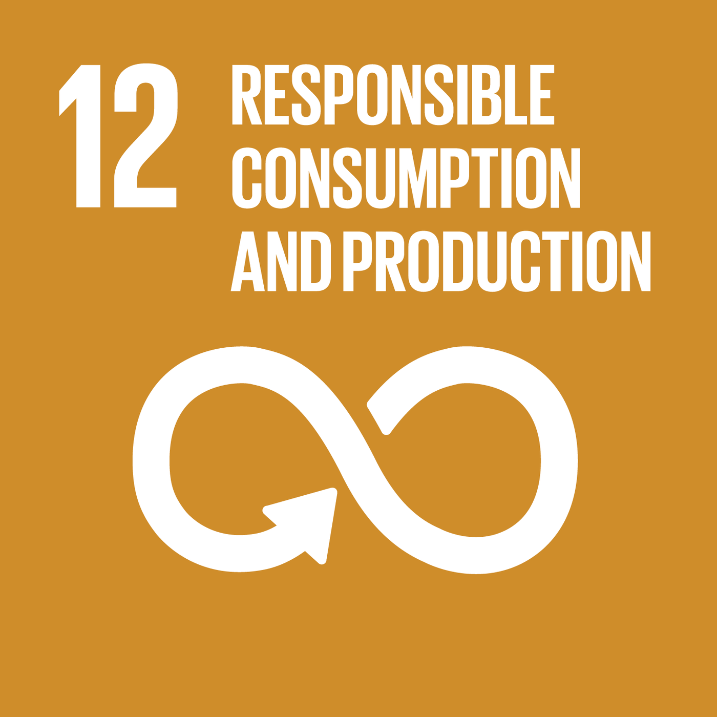 SDG12: Schokolade, die die Welt verändert
