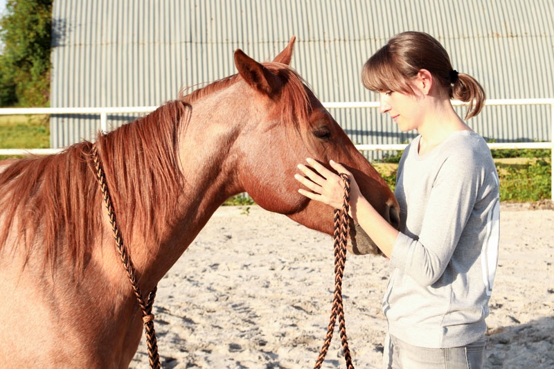 Wie dein Pferd für dich zaubert
