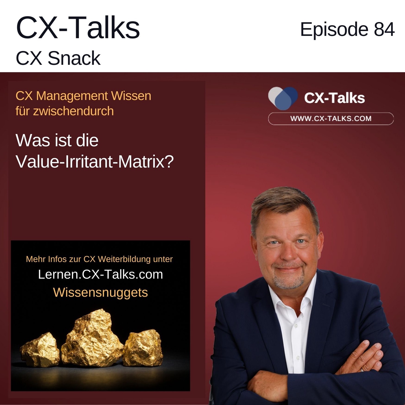 #84 Was ist die Value-Irritant-Matrix? Ein CX Wissensnugget mit Peter Pirner