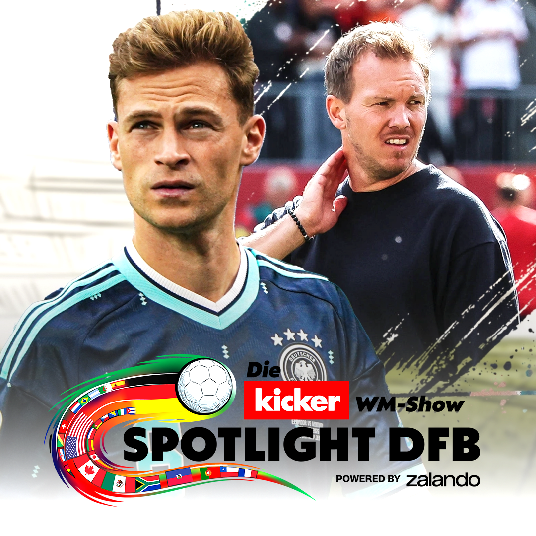 [Spotlight DFB] 