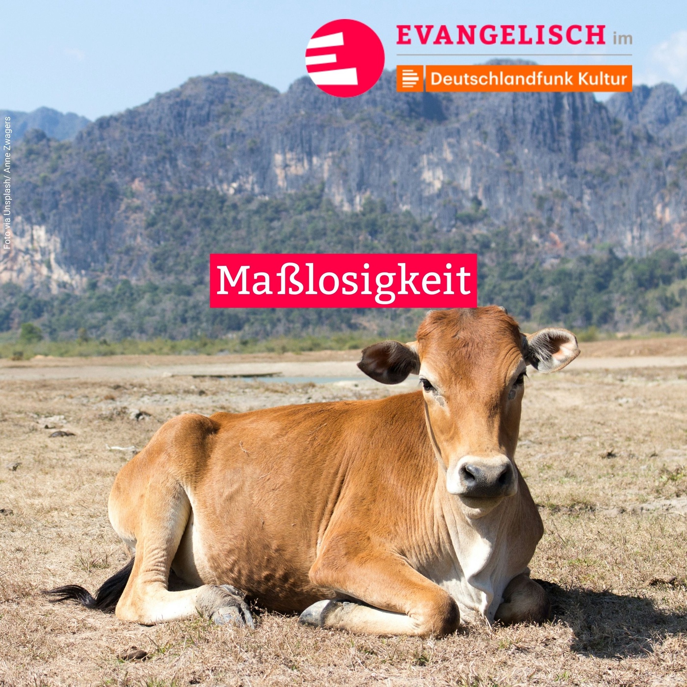 Maßlosigkeit