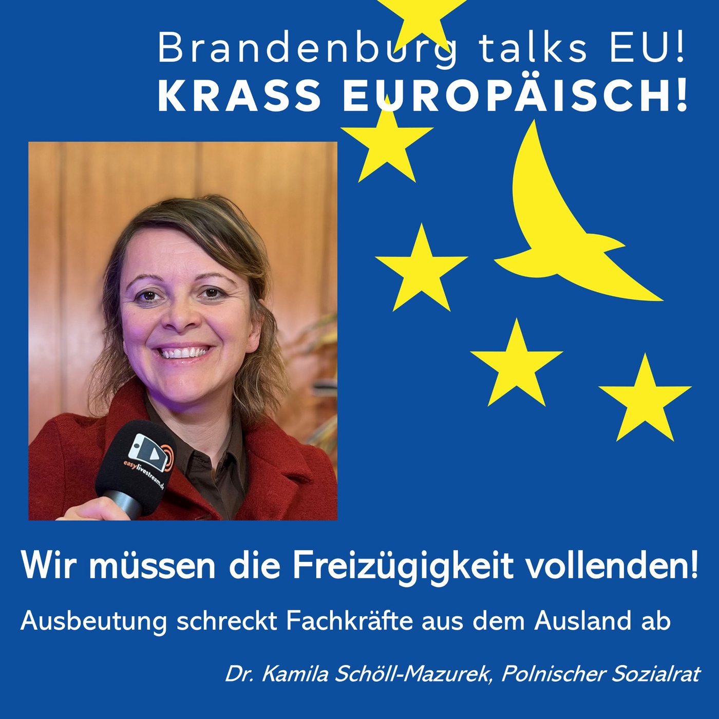 Wir müssen die Freizügigkeit vollenden!