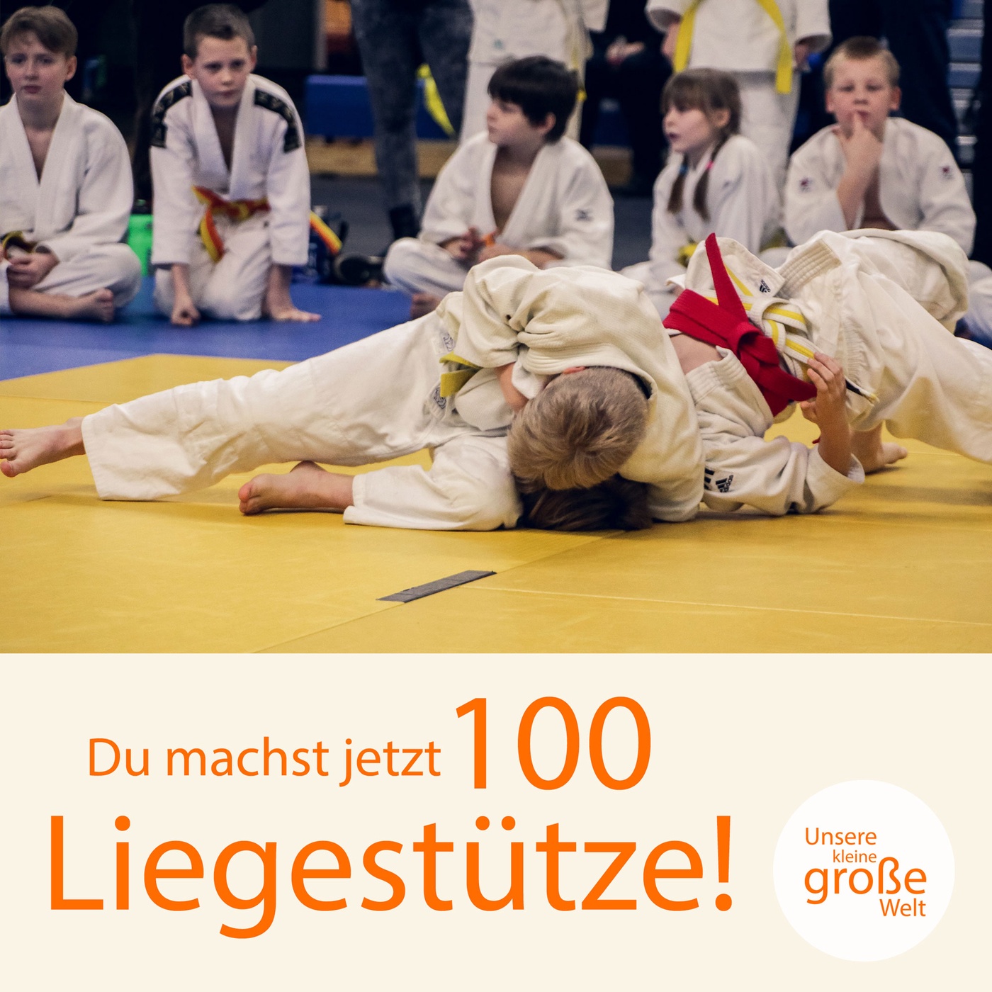 Du machst jetzt 100 Liegestütze!