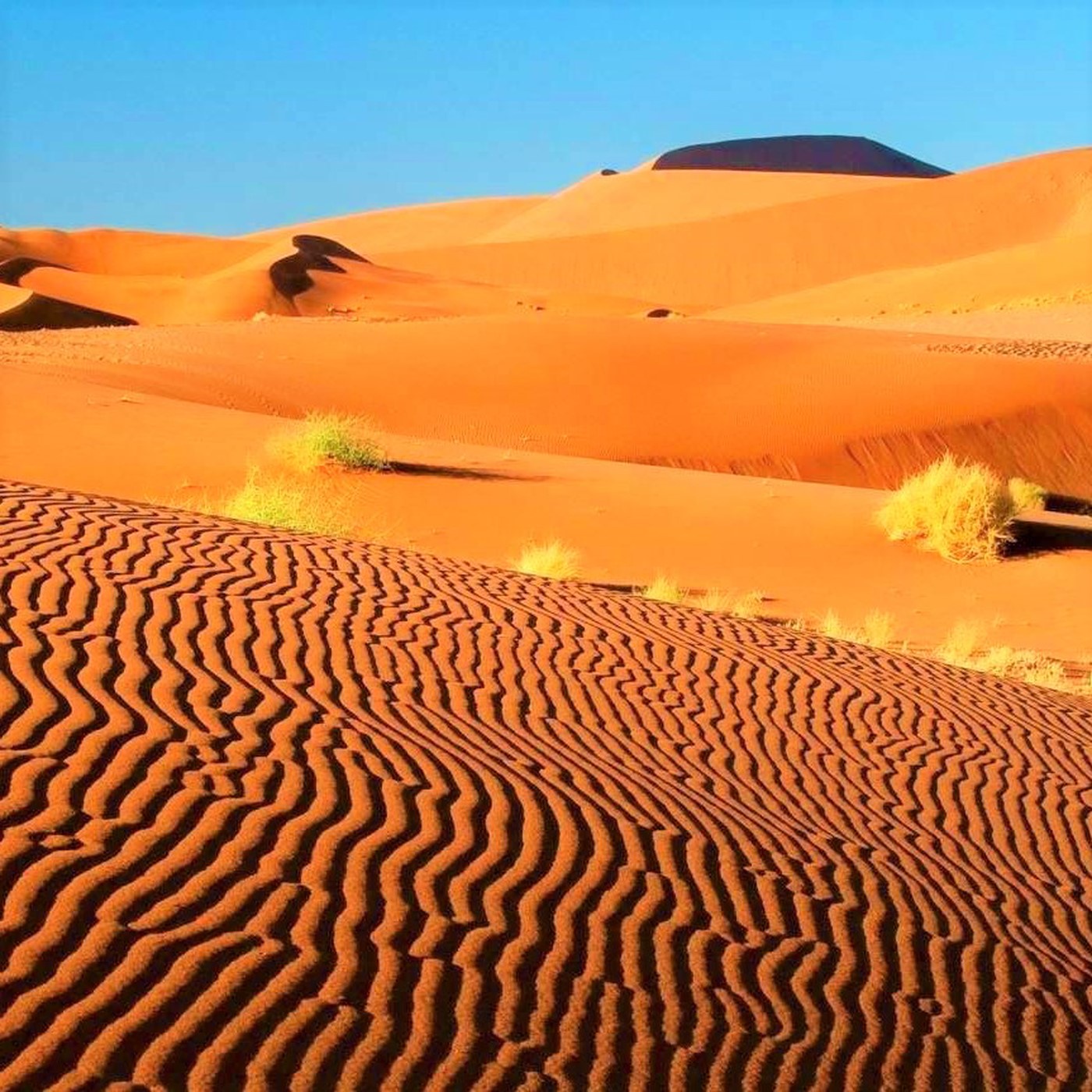 Folge 1: NAMIBIA - Reisen in ein Land voller Kontraste