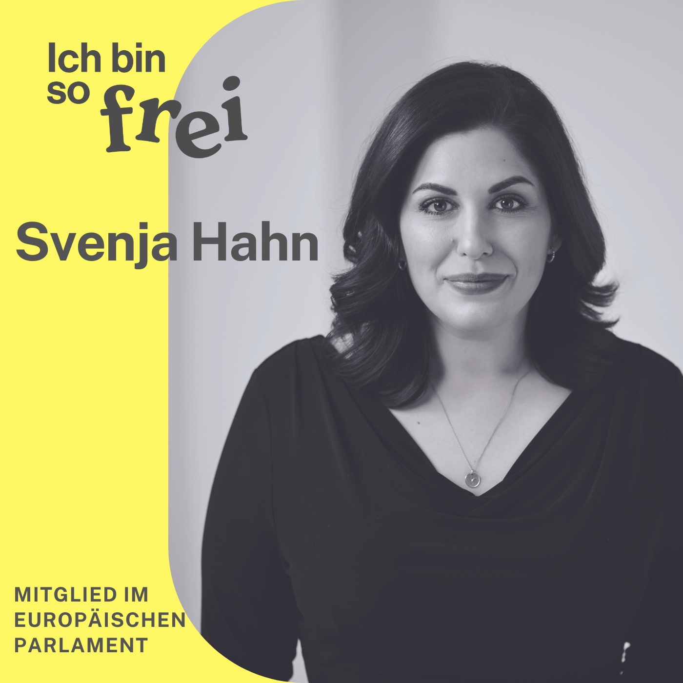 #51 MdEP Svenja Hahn zu den Europawahlen und Desinformation