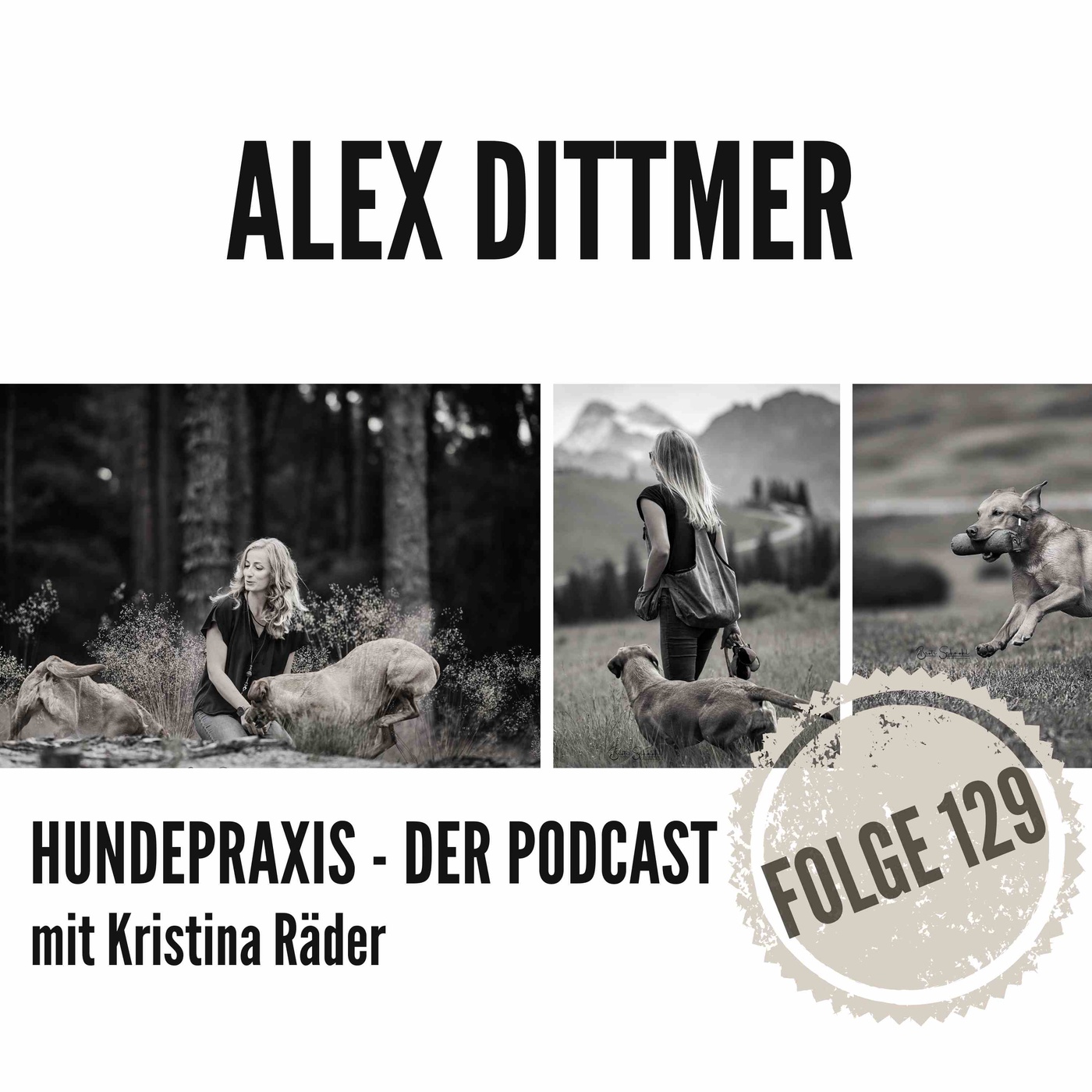 Spektakel in der Hundeschule