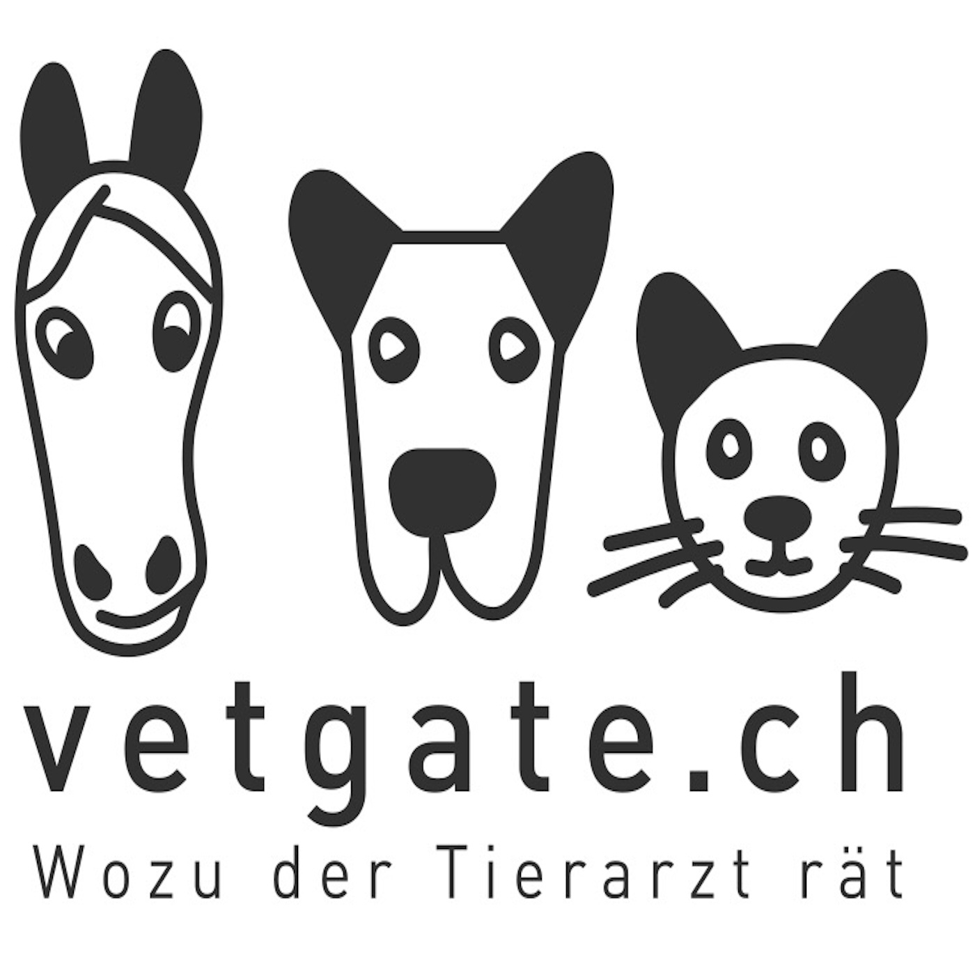 Bellos & Bellas - der vetgate Hundepodcast