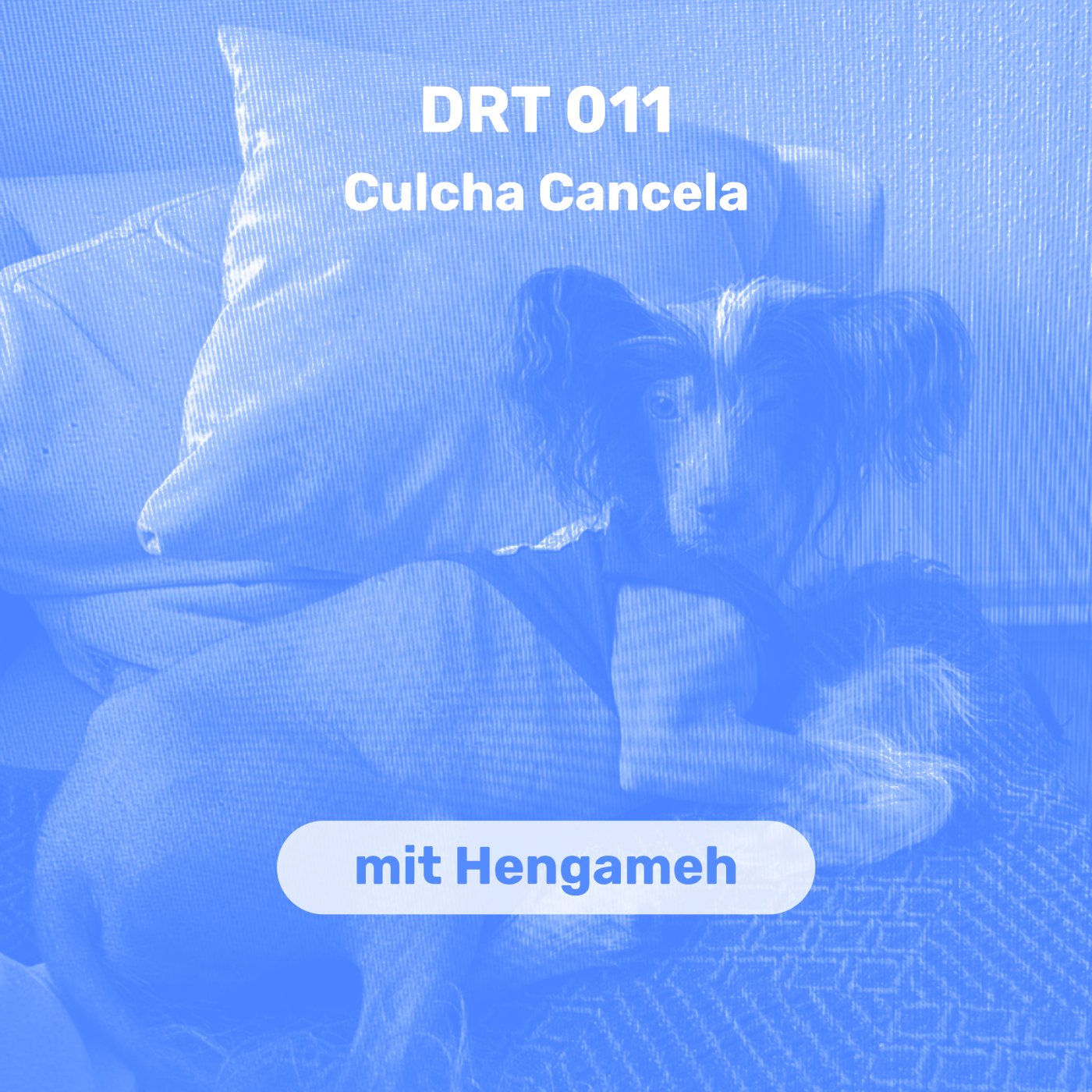 DRT 011- Culcha Cancela mit Hengameh