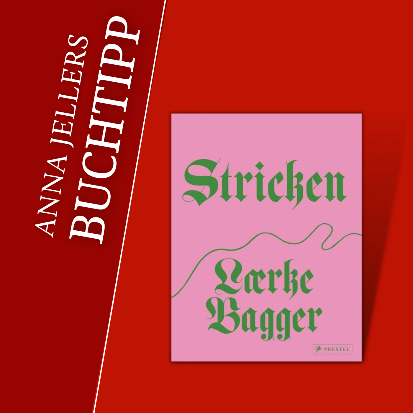 Anna Jellers Buchtipp | Lærke Bagger: Stricken