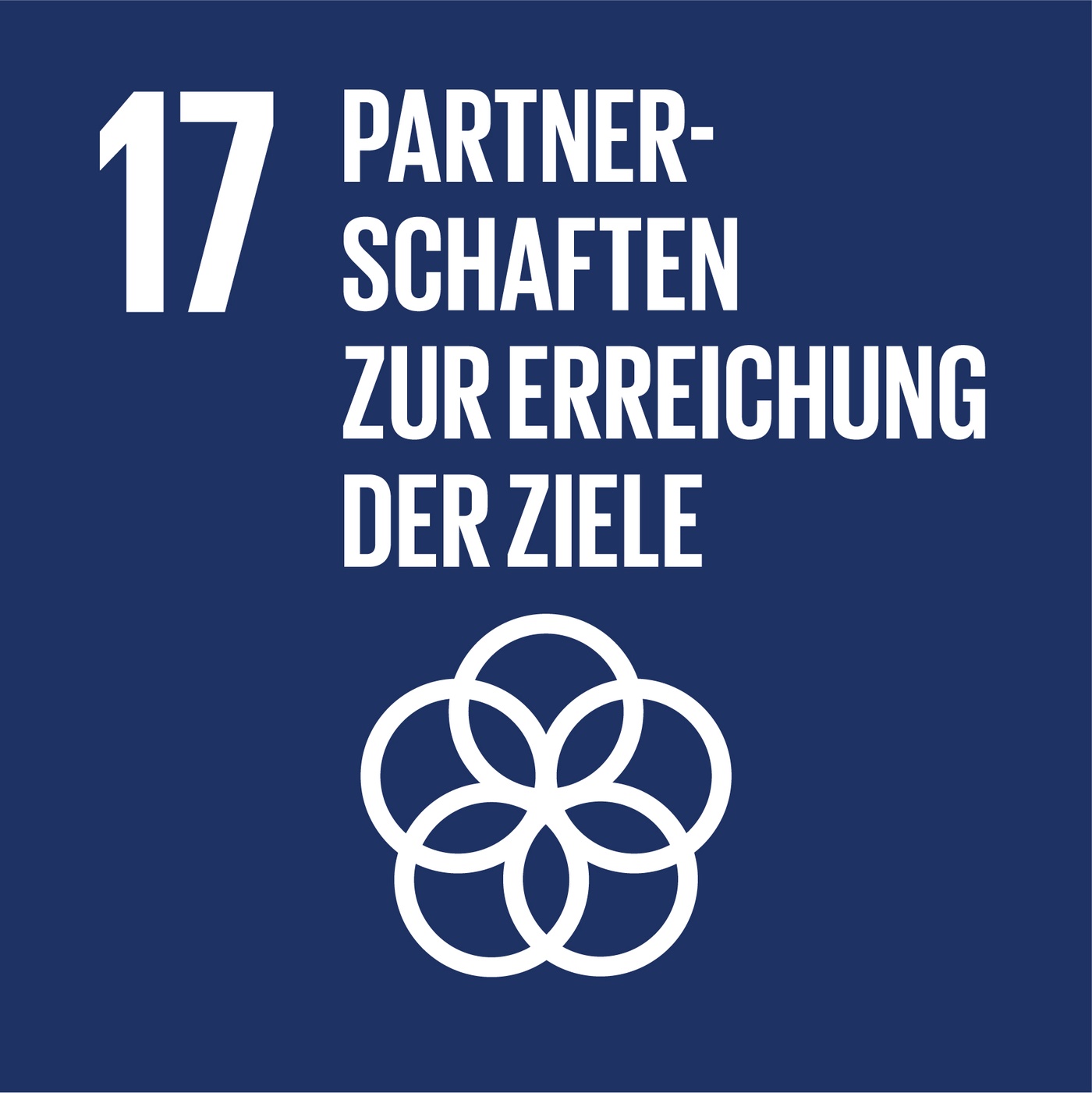 SDG 17: Reicht die bisherige internationale Solidarität aus?