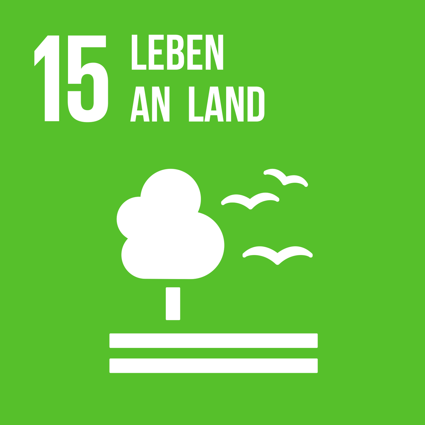 SDG 15: SOS von Flora und Fauna