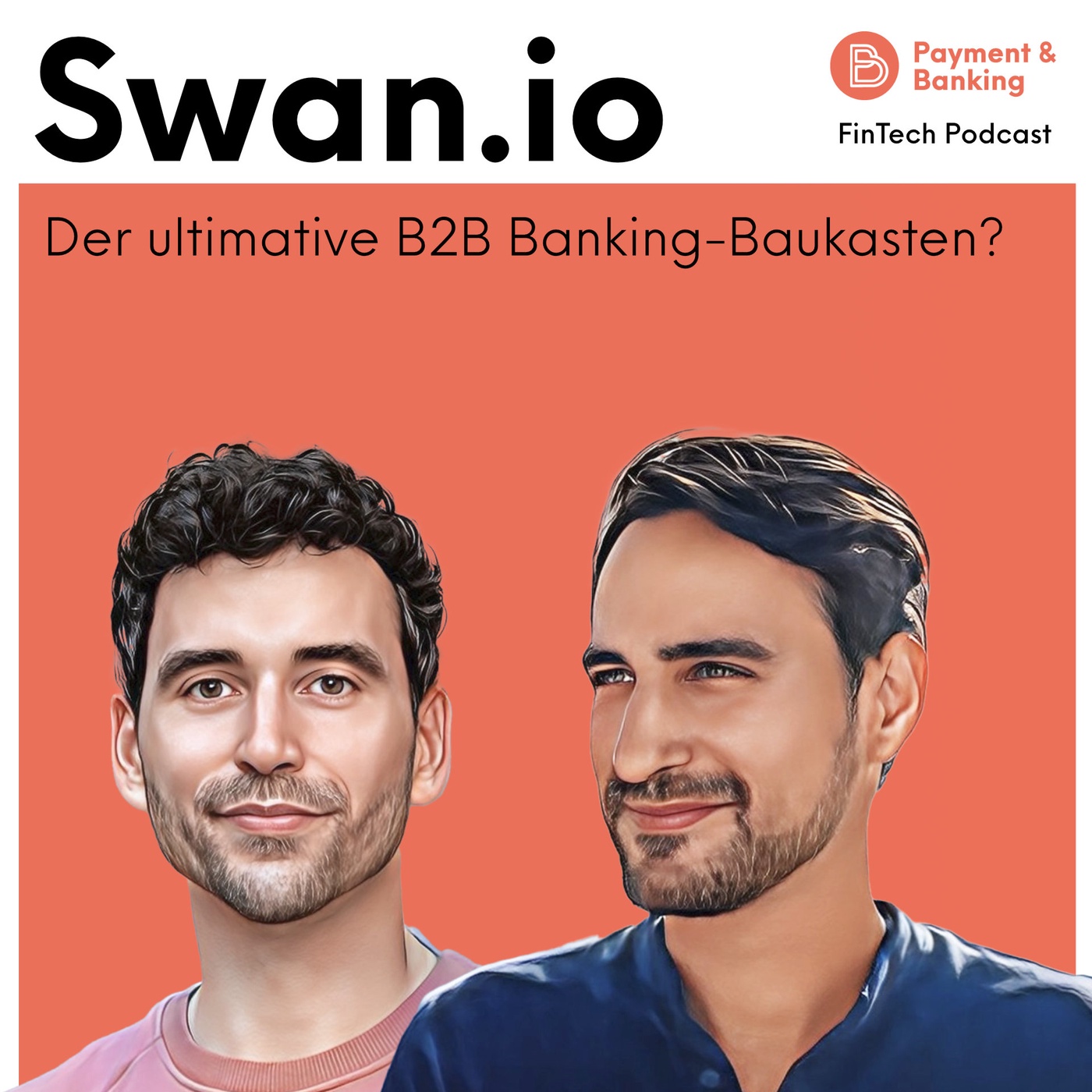 Wie funktioniert Swan.io?