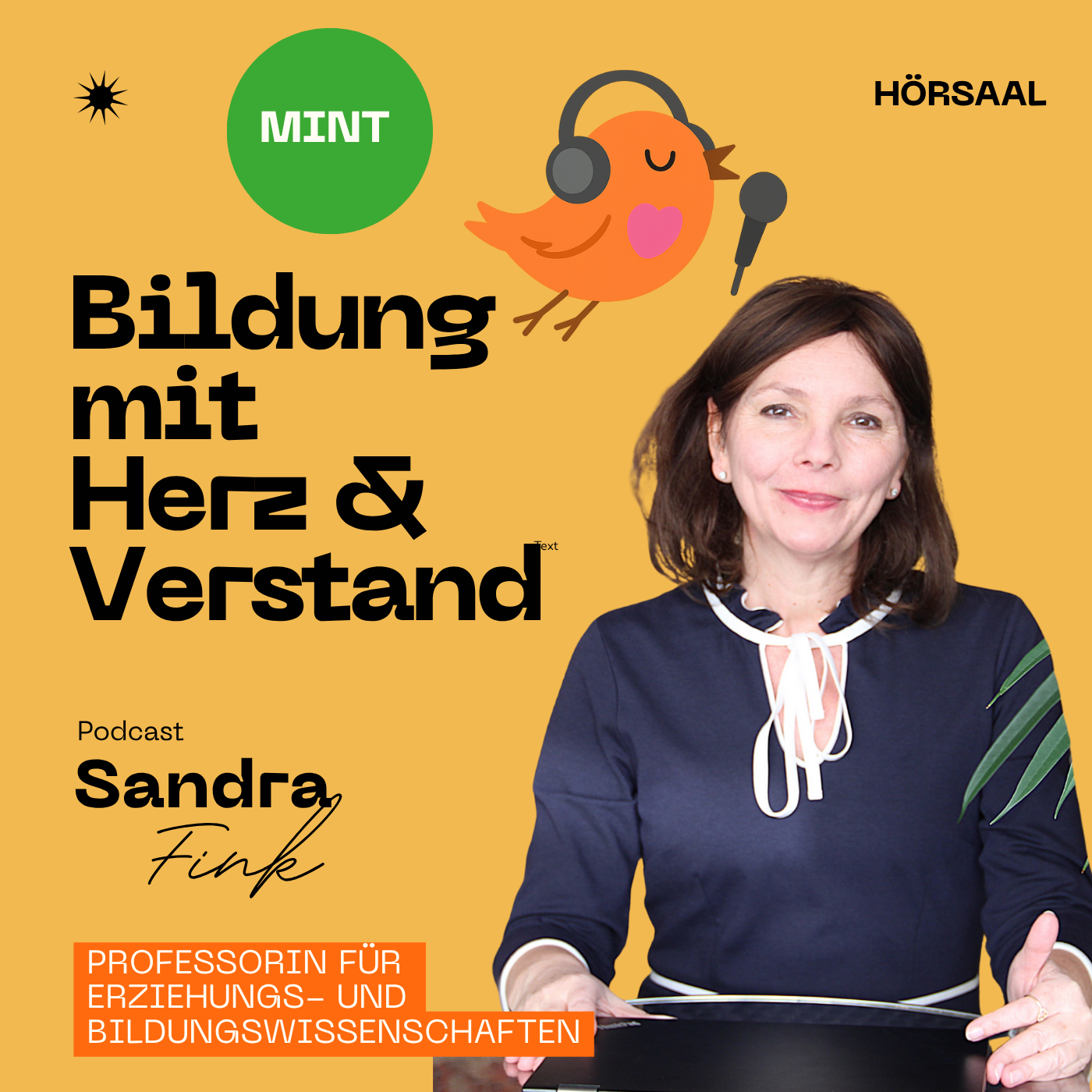 MINT mit einfachen Dingen – Forschen ohne viel Aufwand