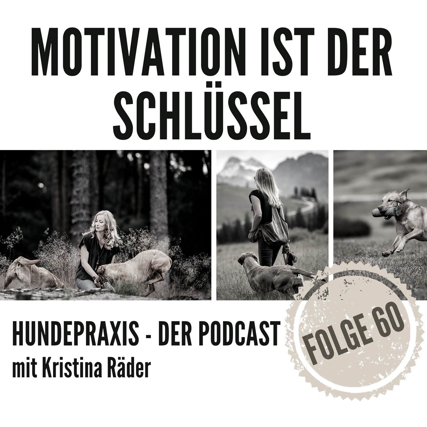 Motivation ist der Schlüssel