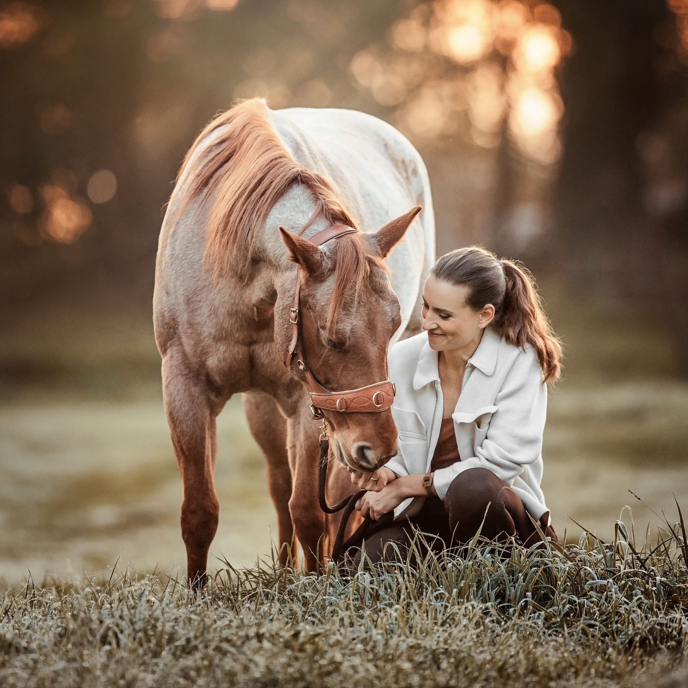 Ausrüstungsdinge: Gebisslos Reiten - ja oder Nein?