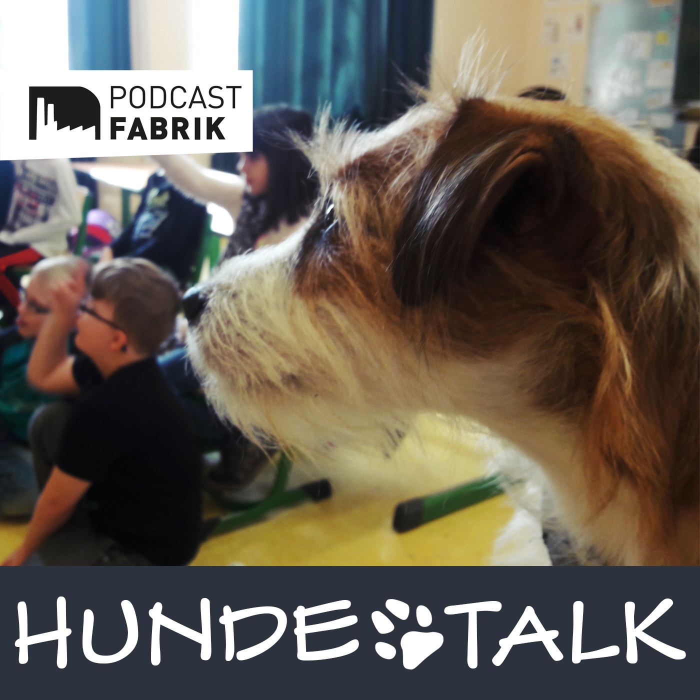 Hunde mit Job - Professor Cookie, der Schulhund