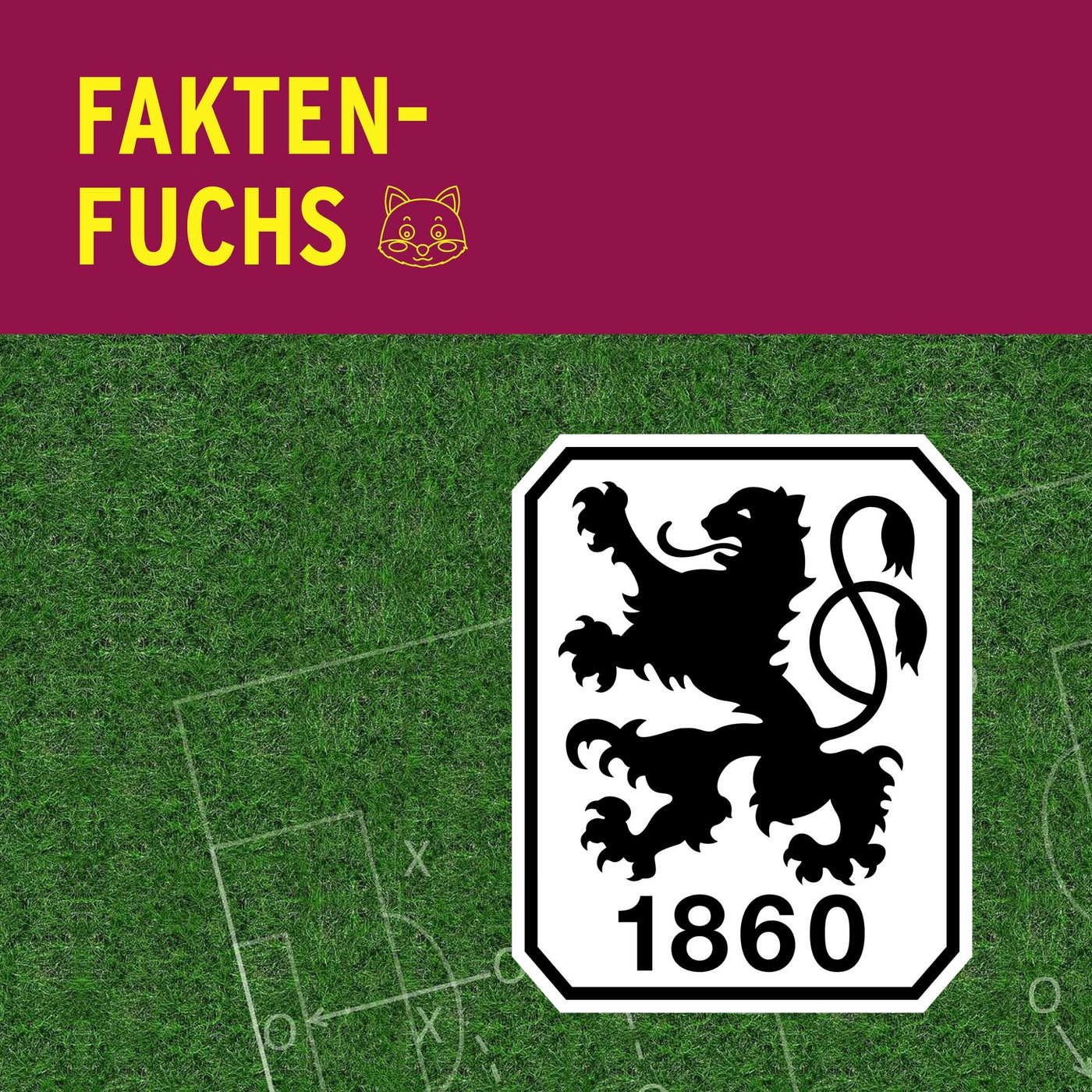 Faktenfuchs: TSV 1860 München