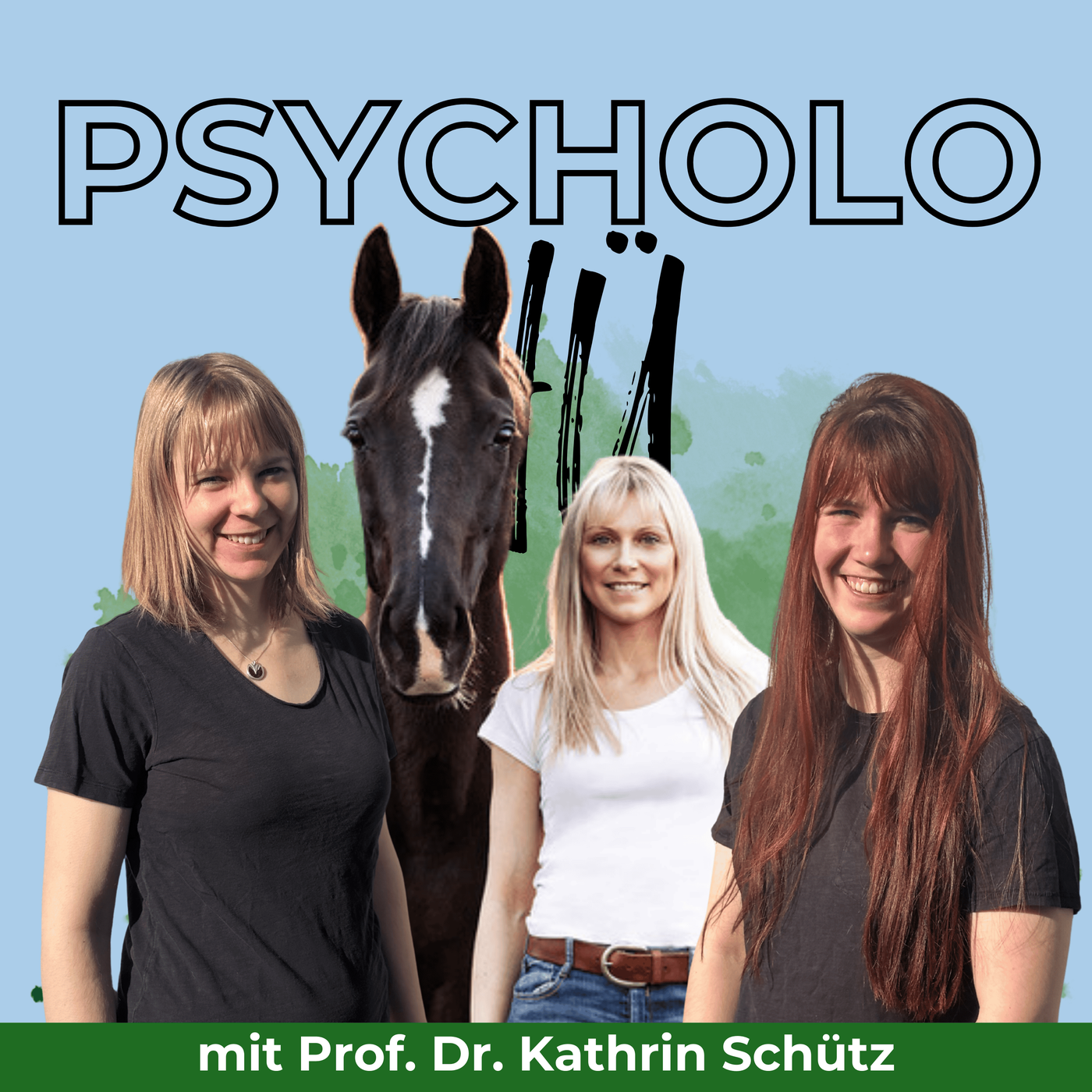 #45 Prof. Dr. Kathrin Schütz, warum lieben wir Pferde?