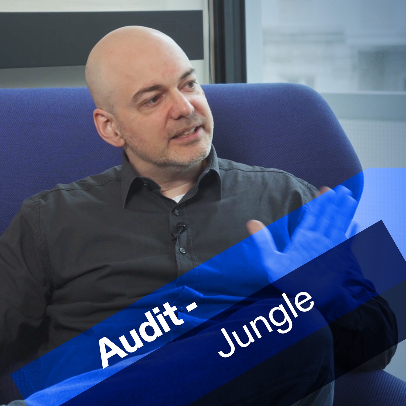 Audit-Jungle