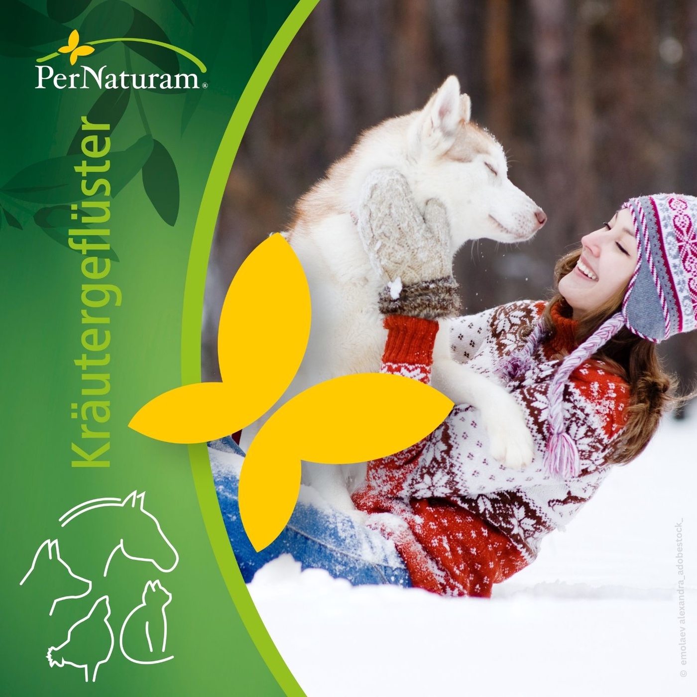 Auf 4 Pfoten und 2 Beinen durch den Winter