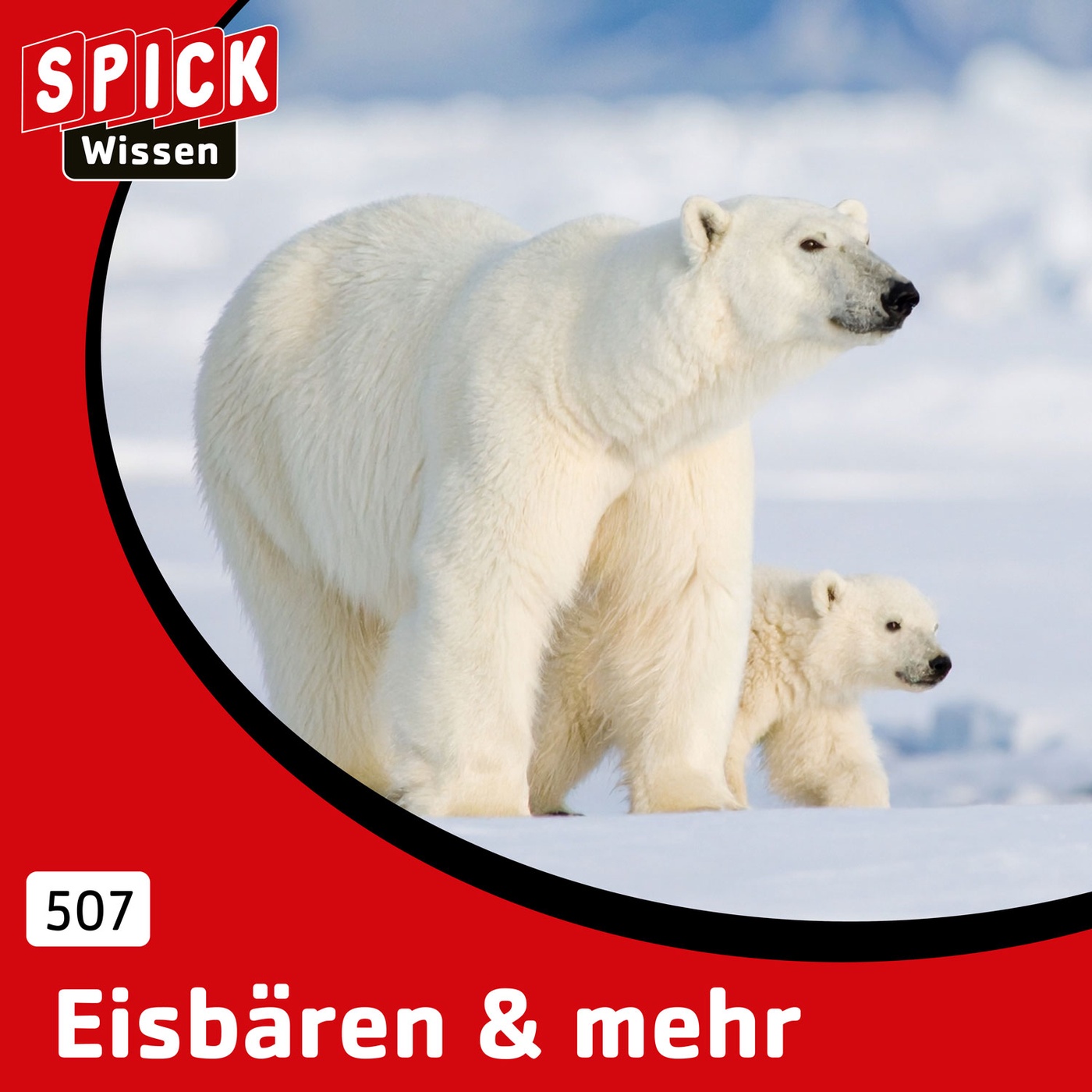 Eisbären & mehr