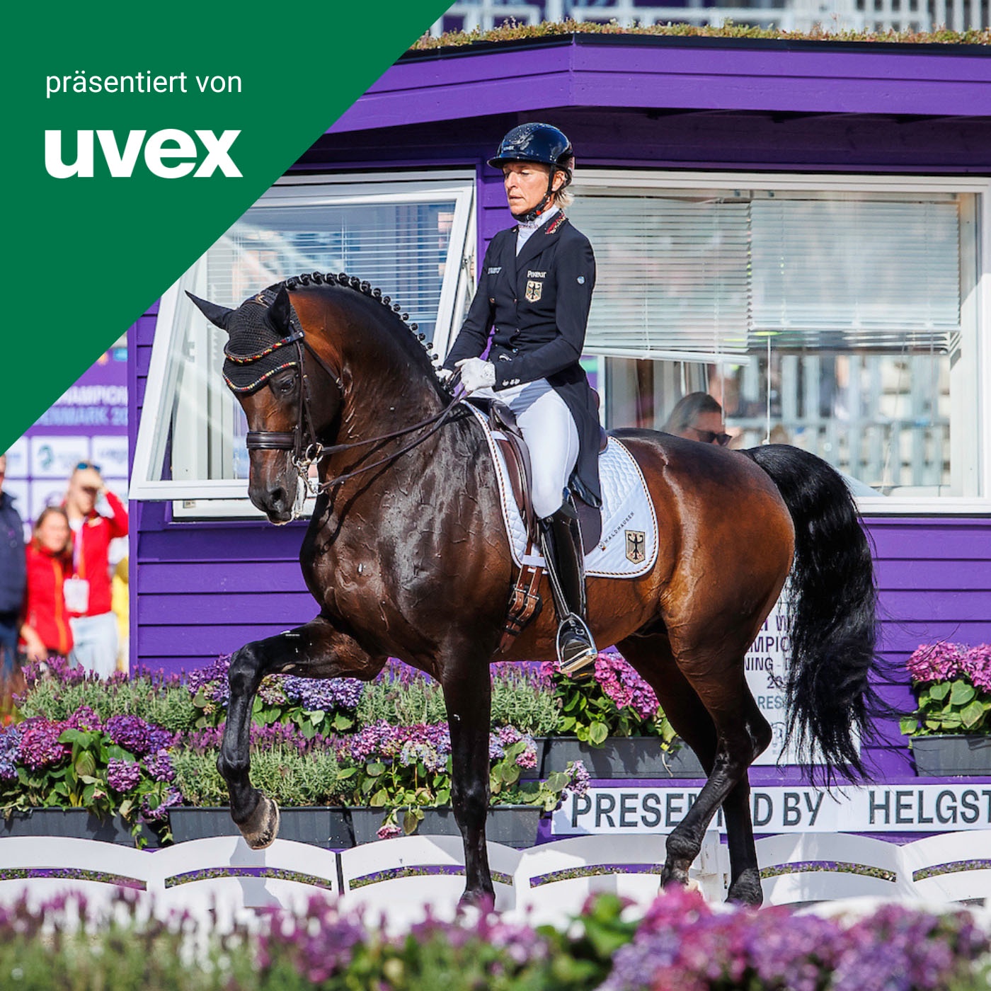 STAFFEL 3 Folge #19 – Dressur-WM in Herning, Bobby und die restliche Saison – ein Update von Ingrid Klimke