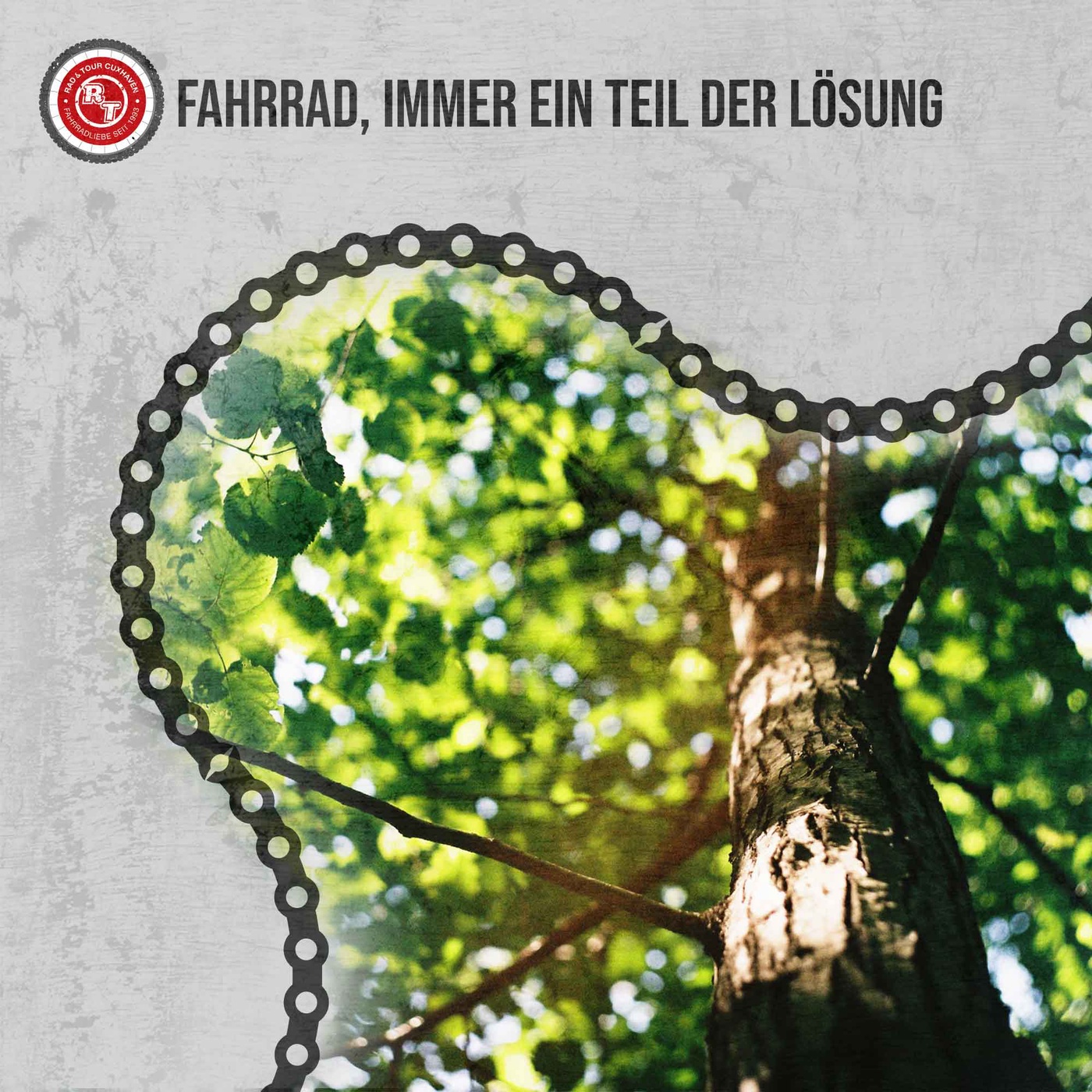 Radfahren und Bäume pflanzen: Alles nur Greenwashing?